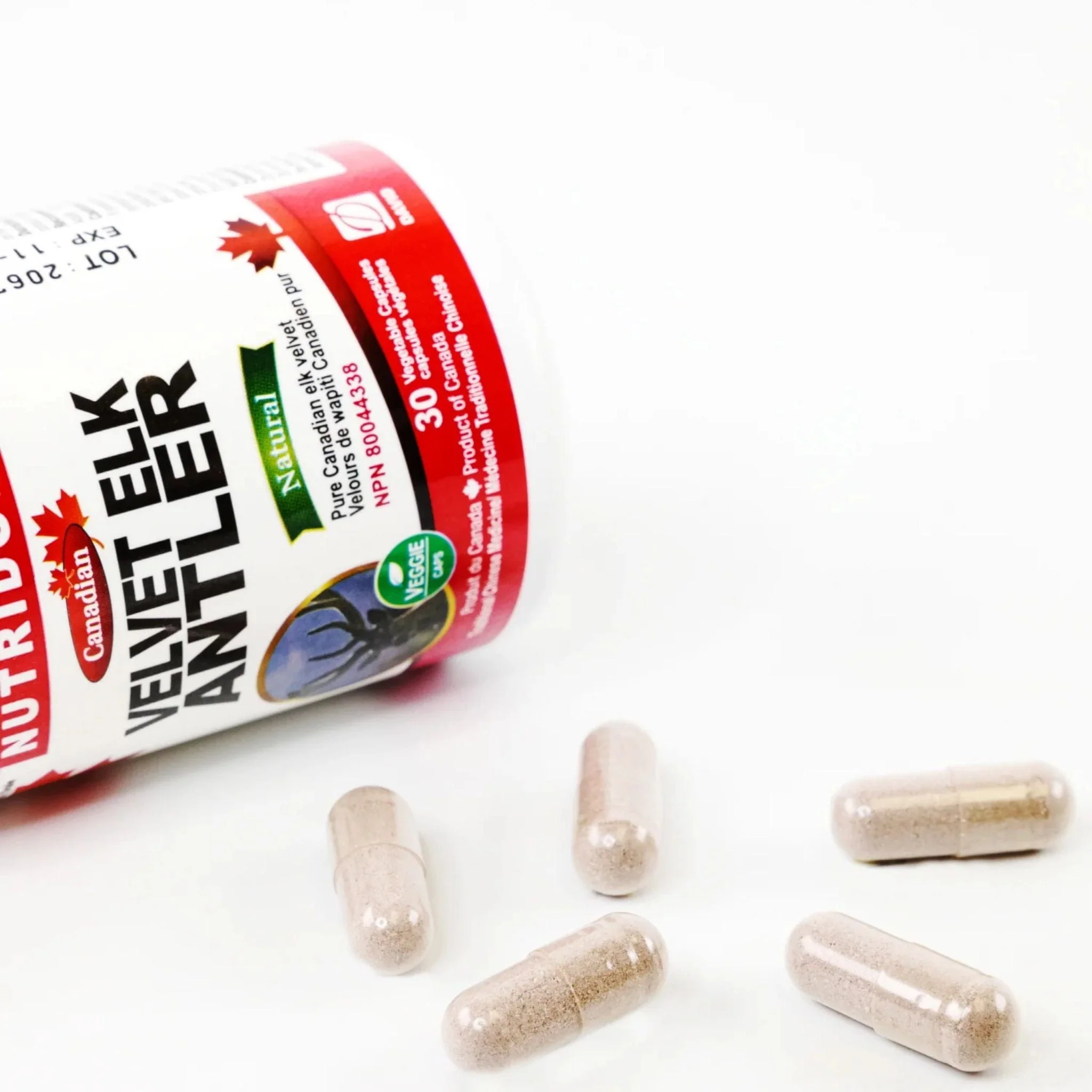 Nutridom Elk Antler Velvet 500mg, Canadian, Freeze-Dried, 30 Vegetable Capsules - Image 3