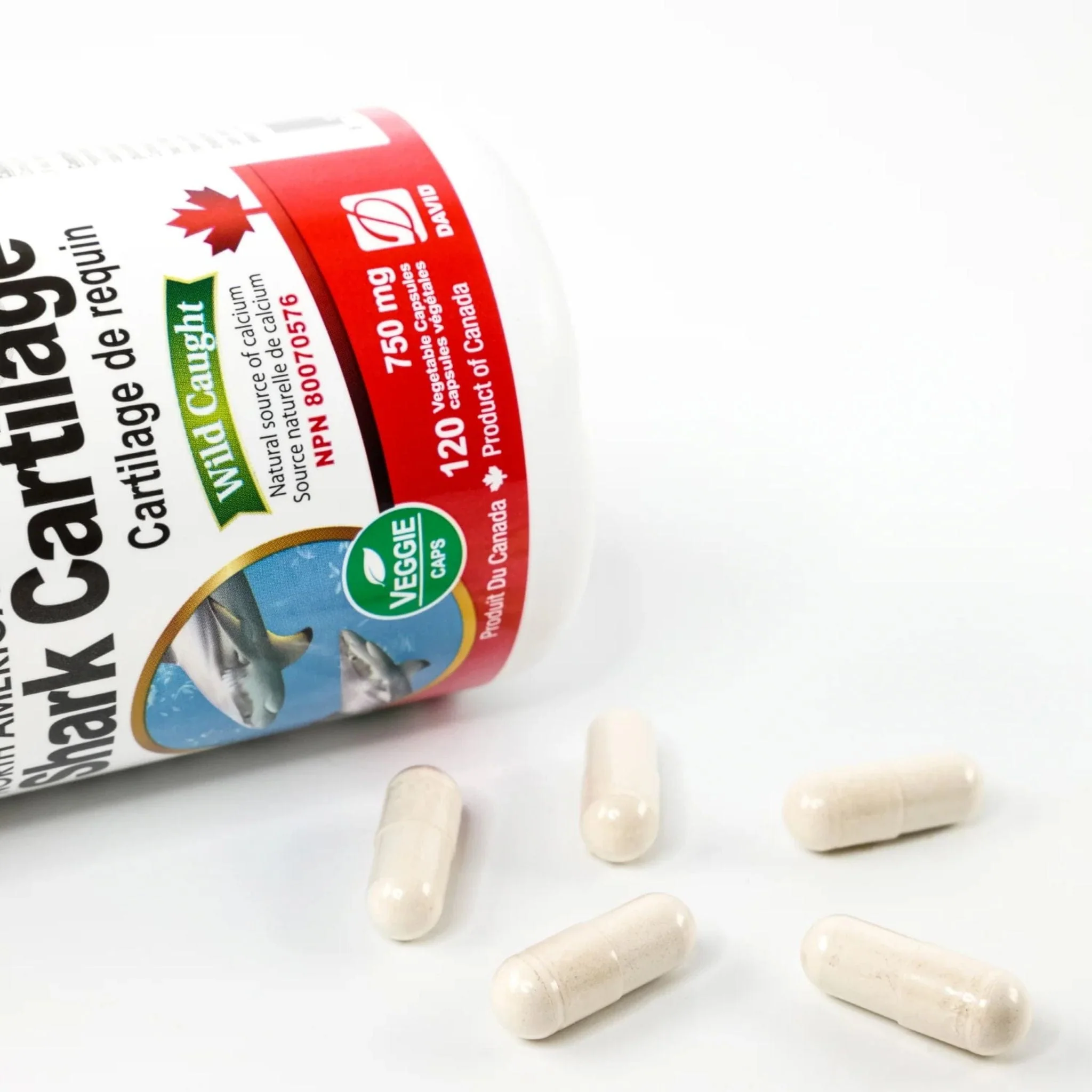 Nutridom Shark Cartilage 750mg, North American, Wild Caught, 120 Vegetable Capsules - Image 4