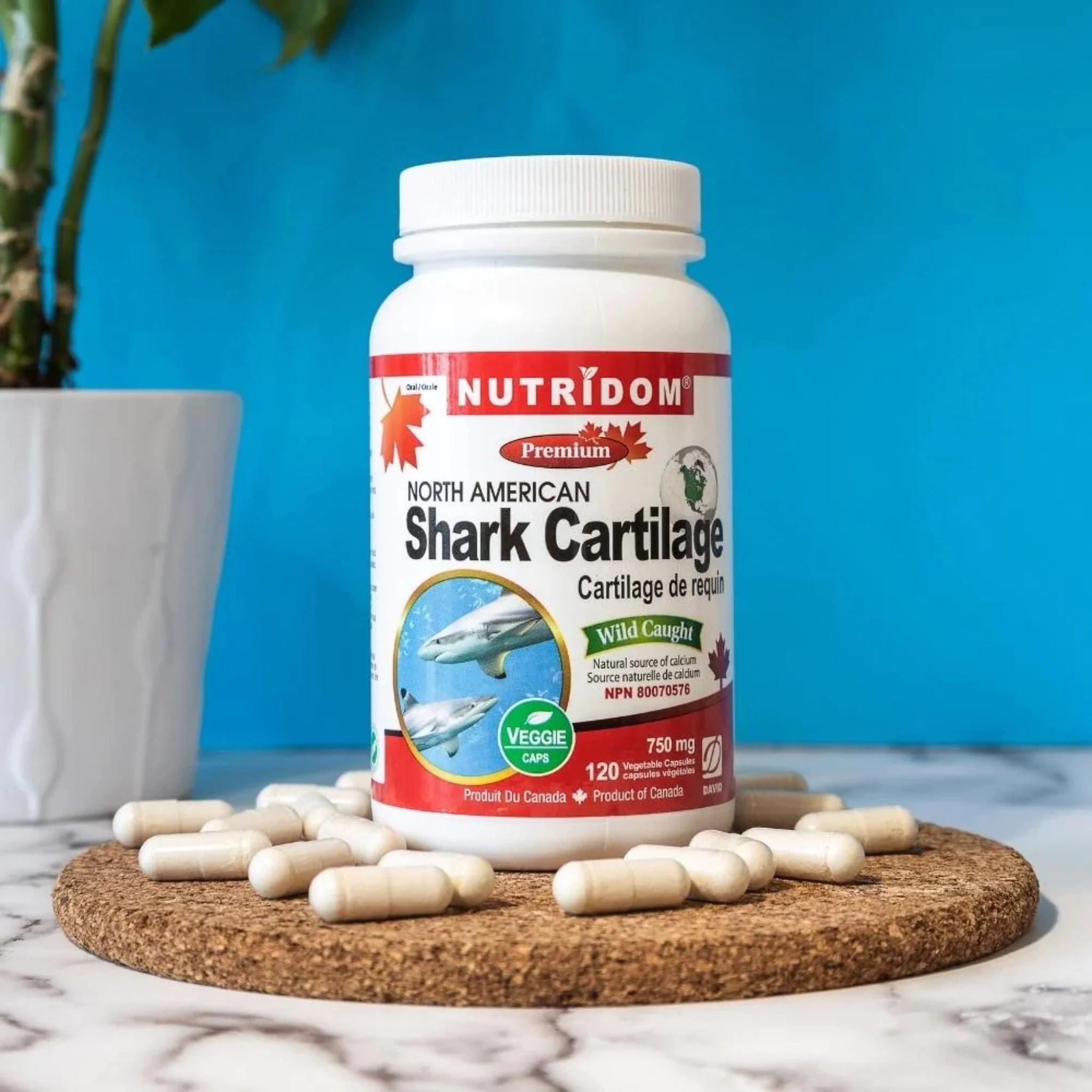 Nutridom Shark Cartilage 750mg, North American, Wild Caught, 120 Vegetable Capsules - Image 5