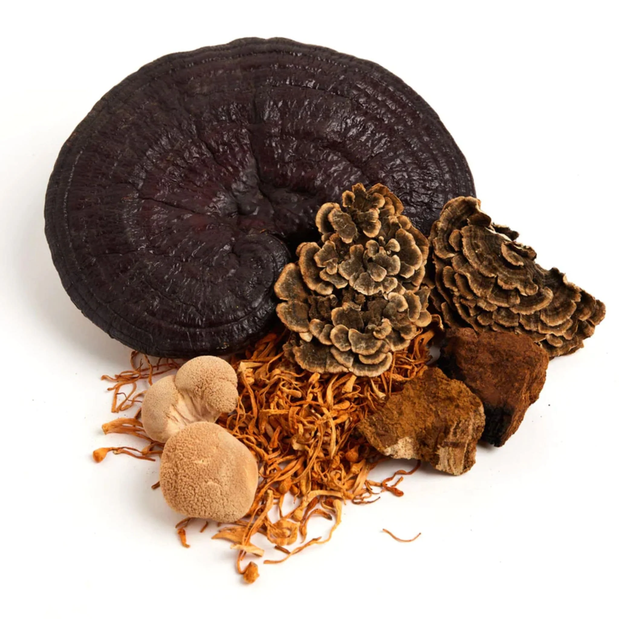 Optimi Plant Protein Powder + Mushroom Protein Powder, Vegan, Organic Ingredients, 640g - Image 4