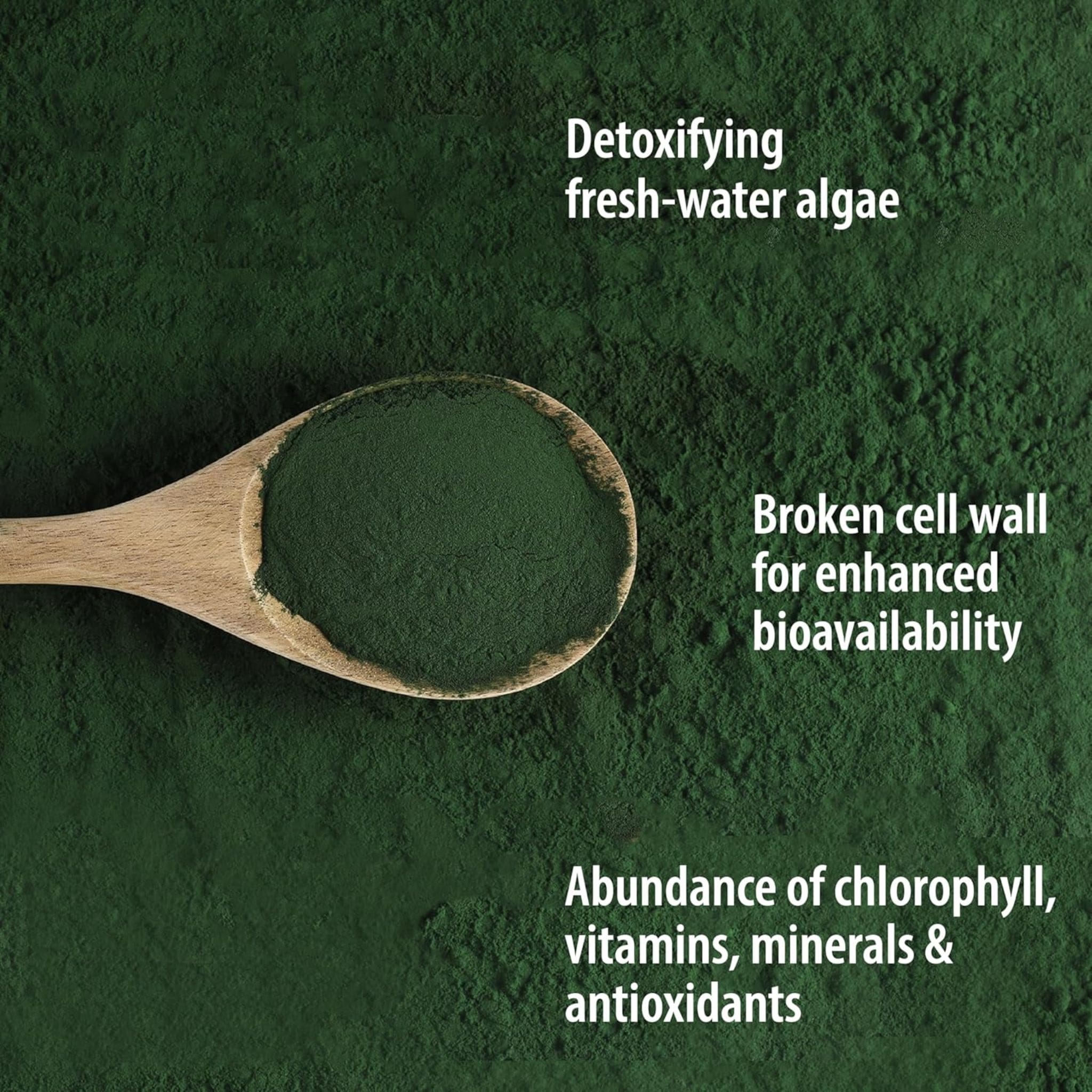 Organic Traditions Chlorella Powder (Broken Cell Wall), 150g - Image 4