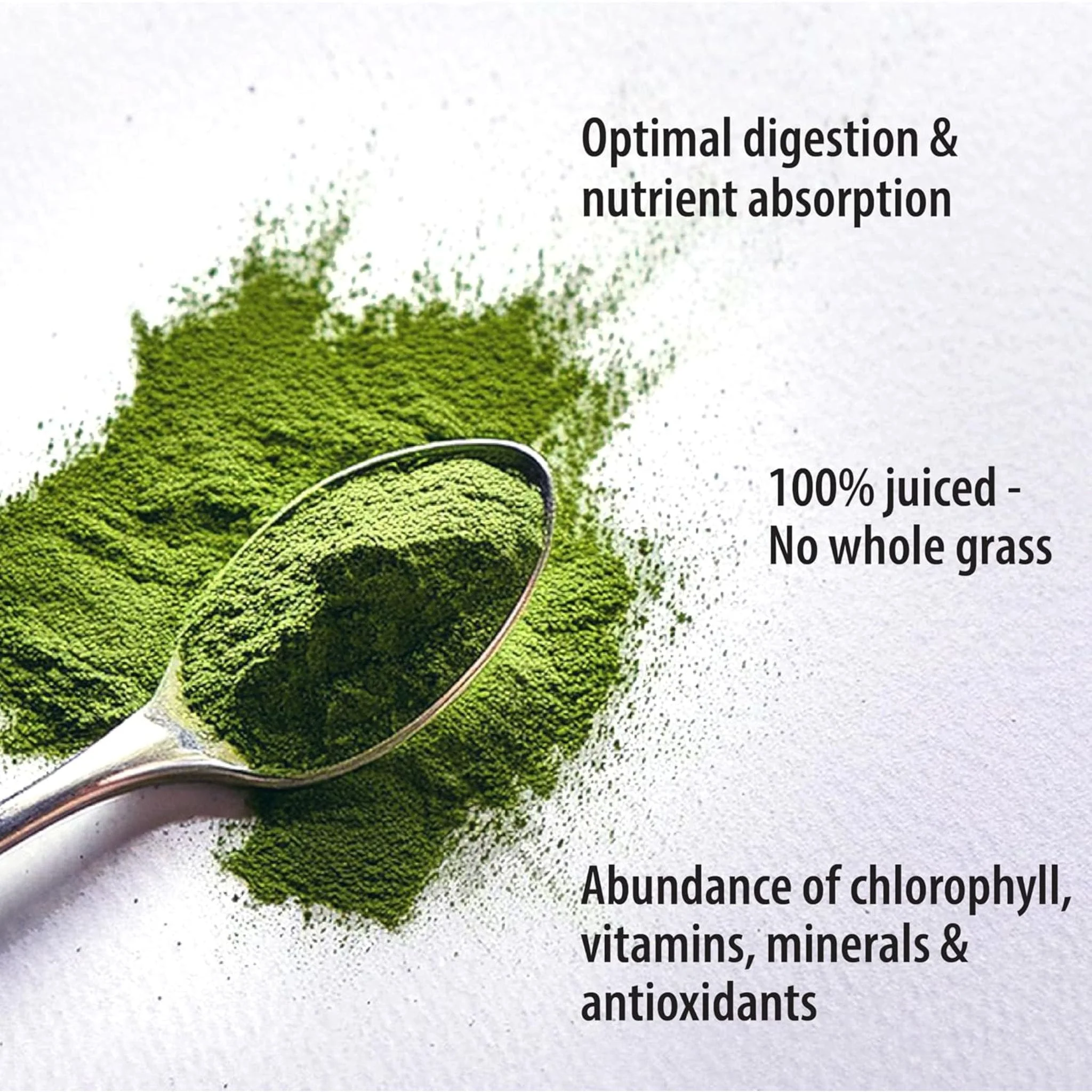 Organic Traditions Organic Wheat Grass Juice Powder, 100% Raw Juice from Young Wheat Grass, No Grass Fillers, 150g - Image 4