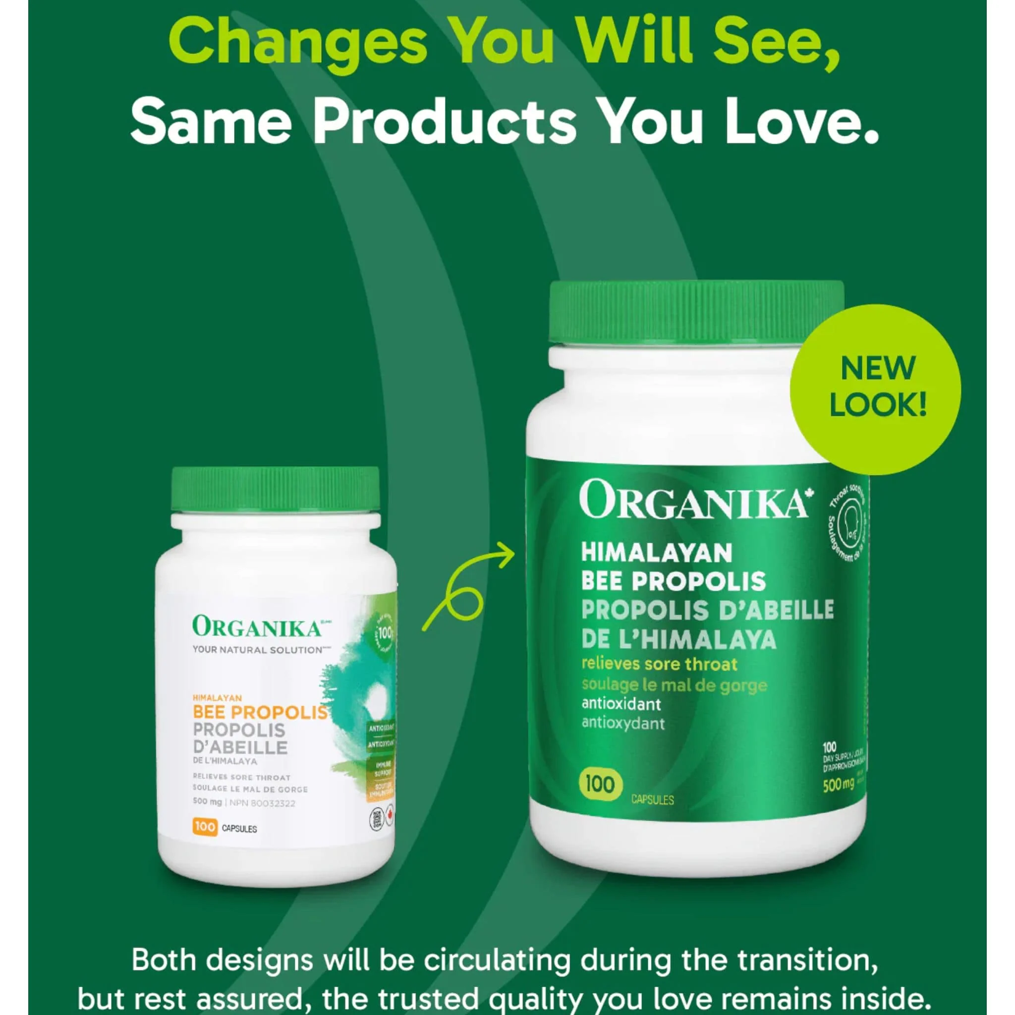 Organika Himalayan Bee Propolis 500mg Capsules - Image 10
