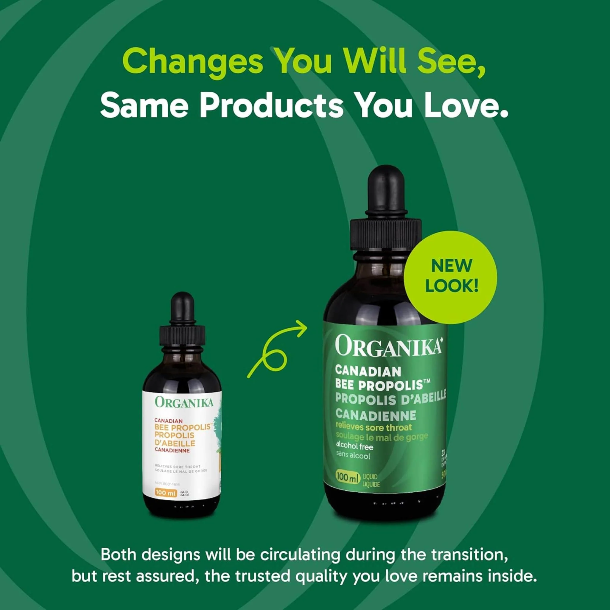 Organika Bee Propolis (Canadian) - Liquid Alcohol Free - Image 15