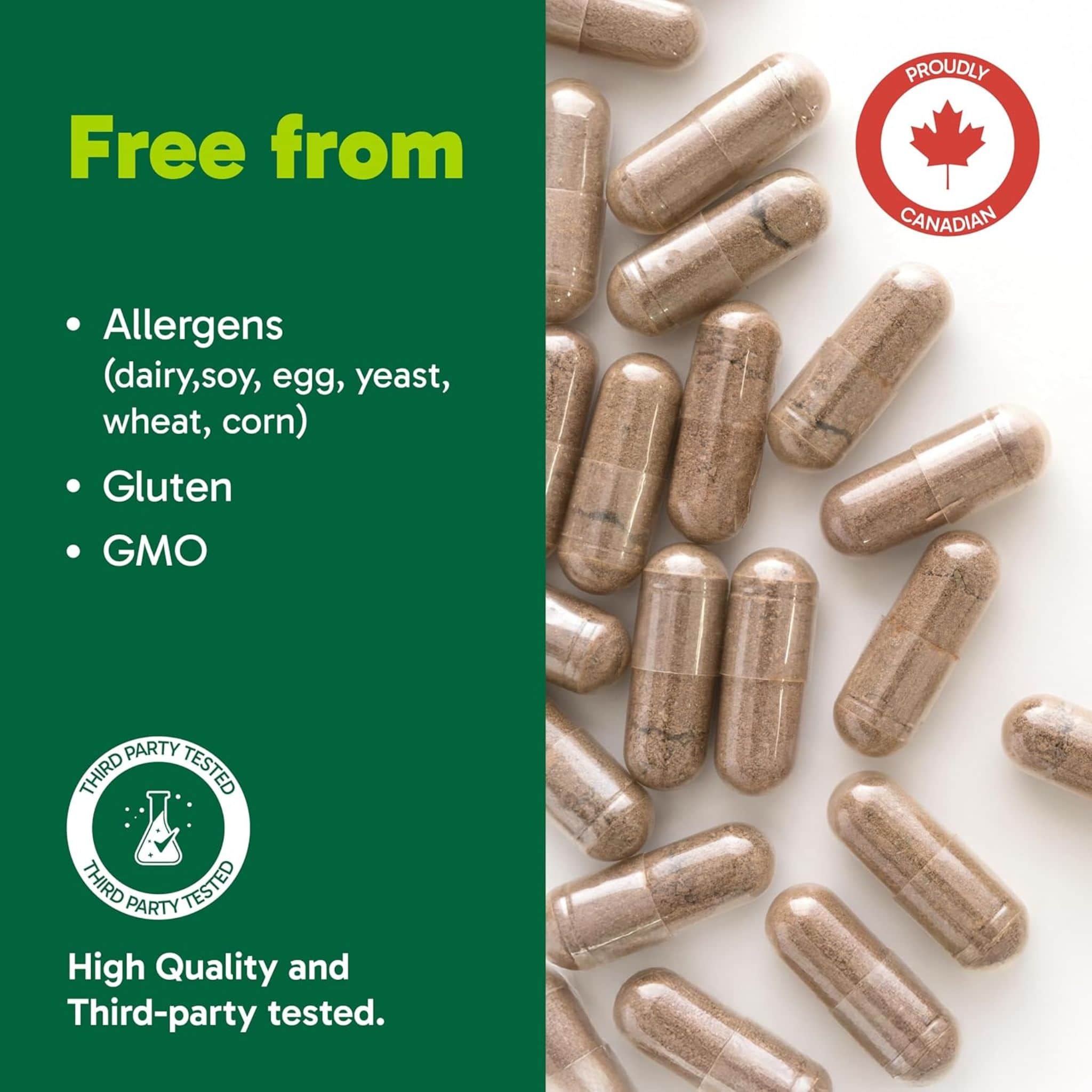 Organika Chanca Piedra, 500mg, 90 Capsules - Image 9