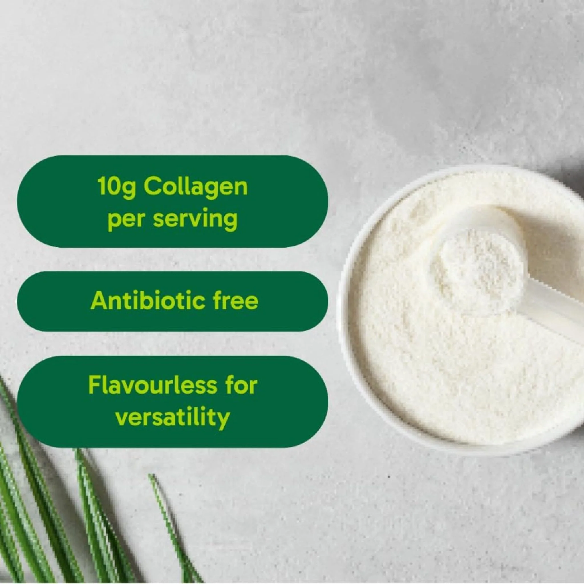 Organika Enhanced Collagen Powder (100% flavourless hydrolyzed collagen peptides), 250-500g - Image 5