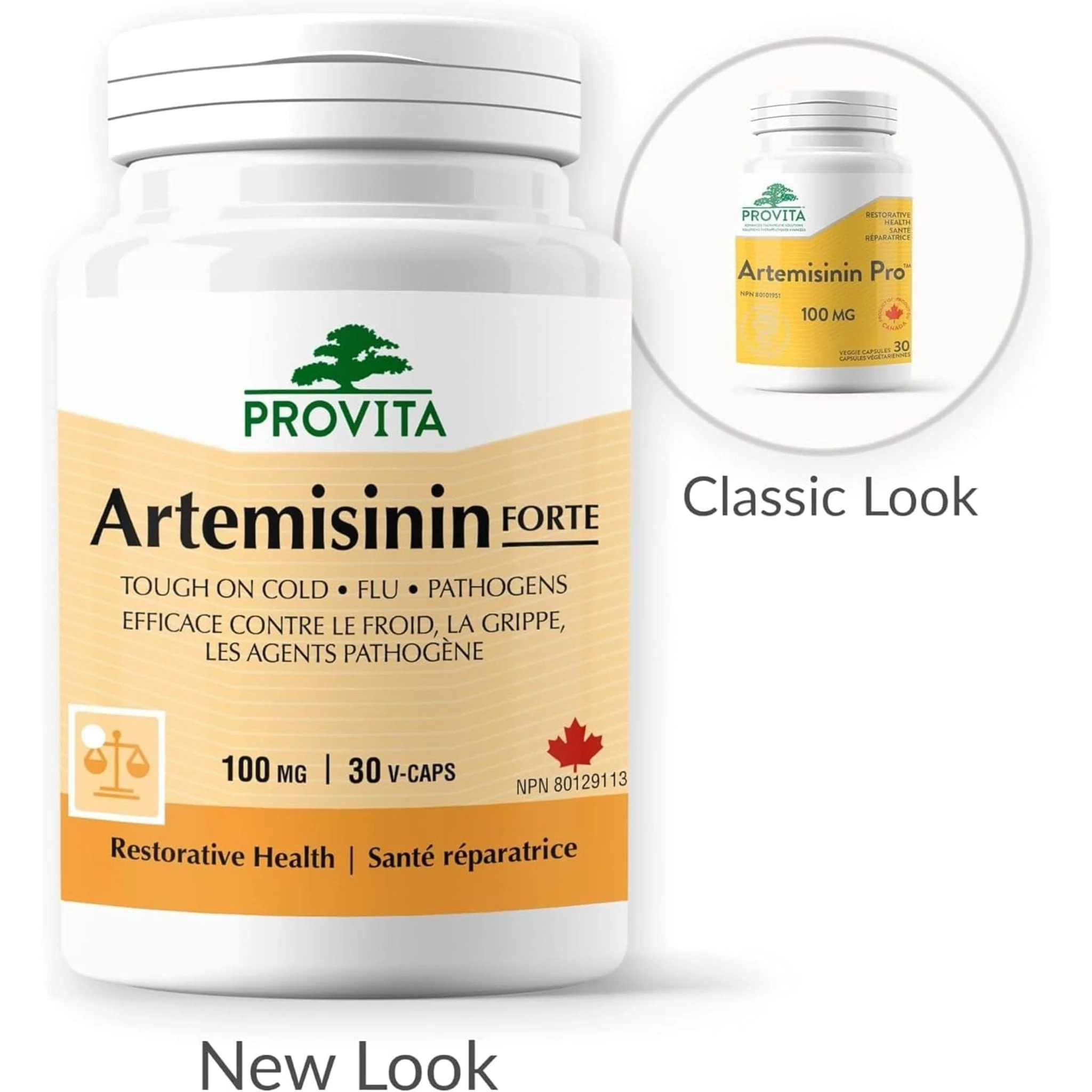 Provita Artemisinin-Sweet Wormwood Pro, High Potency 50:1 Extract, 30 Capsules - Image 4