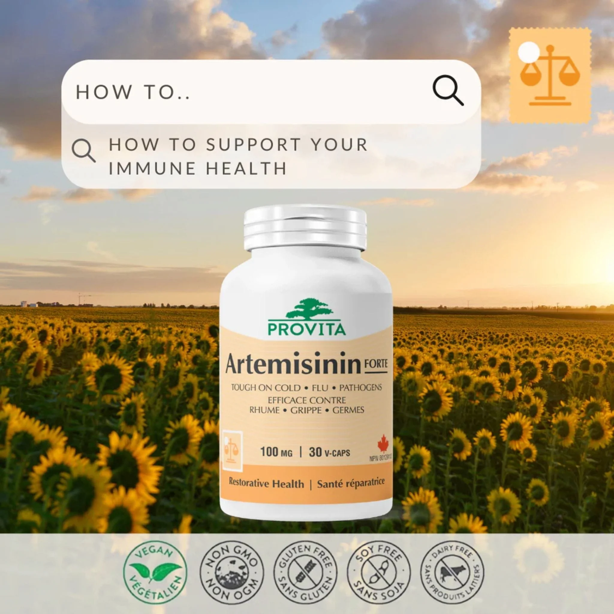 Provita Artemisinin-Sweet Wormwood Pro, High Potency 50:1 Extract, 30 Capsules - Image 5
