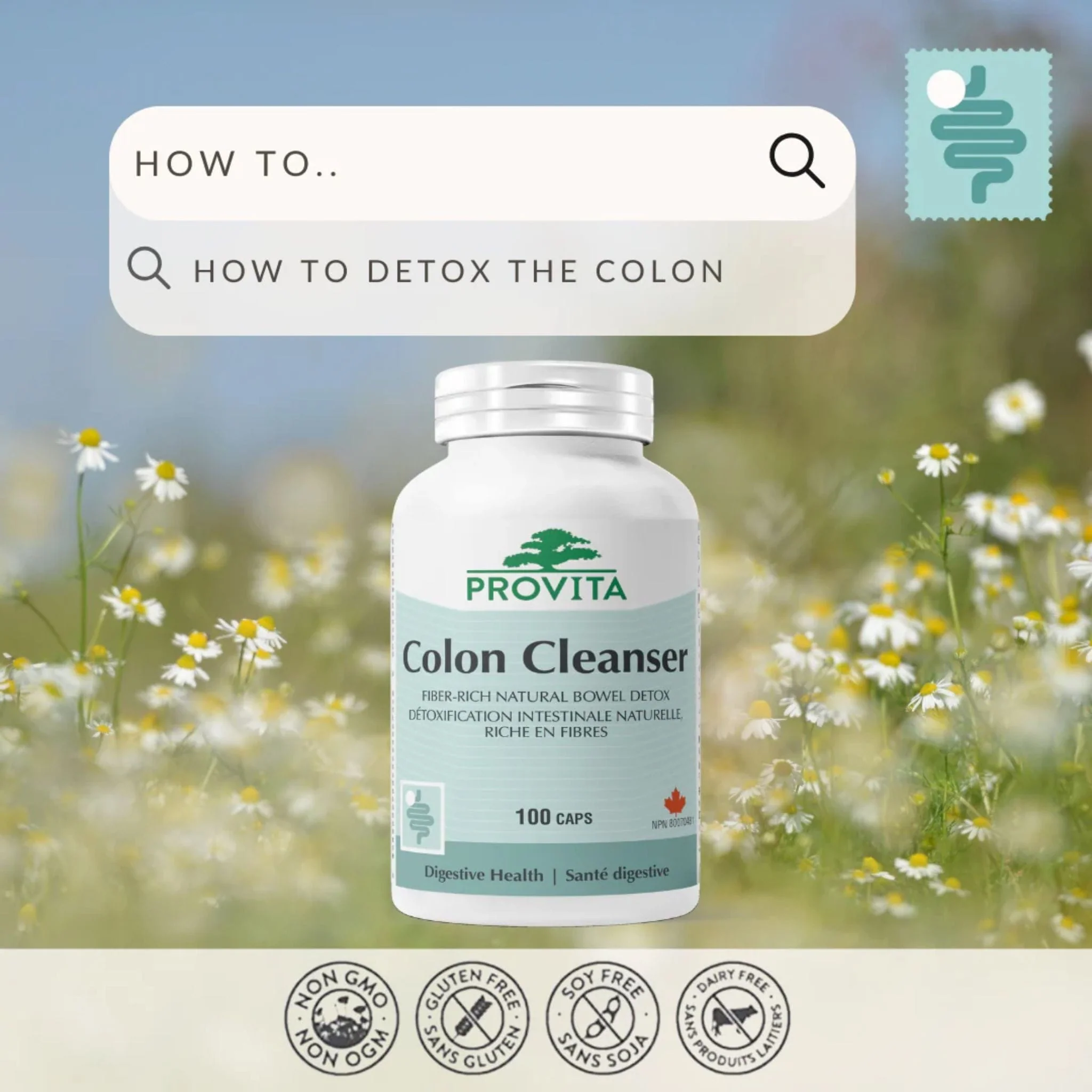 Provita Colon Cleanser, 100 Capsules - Image 5