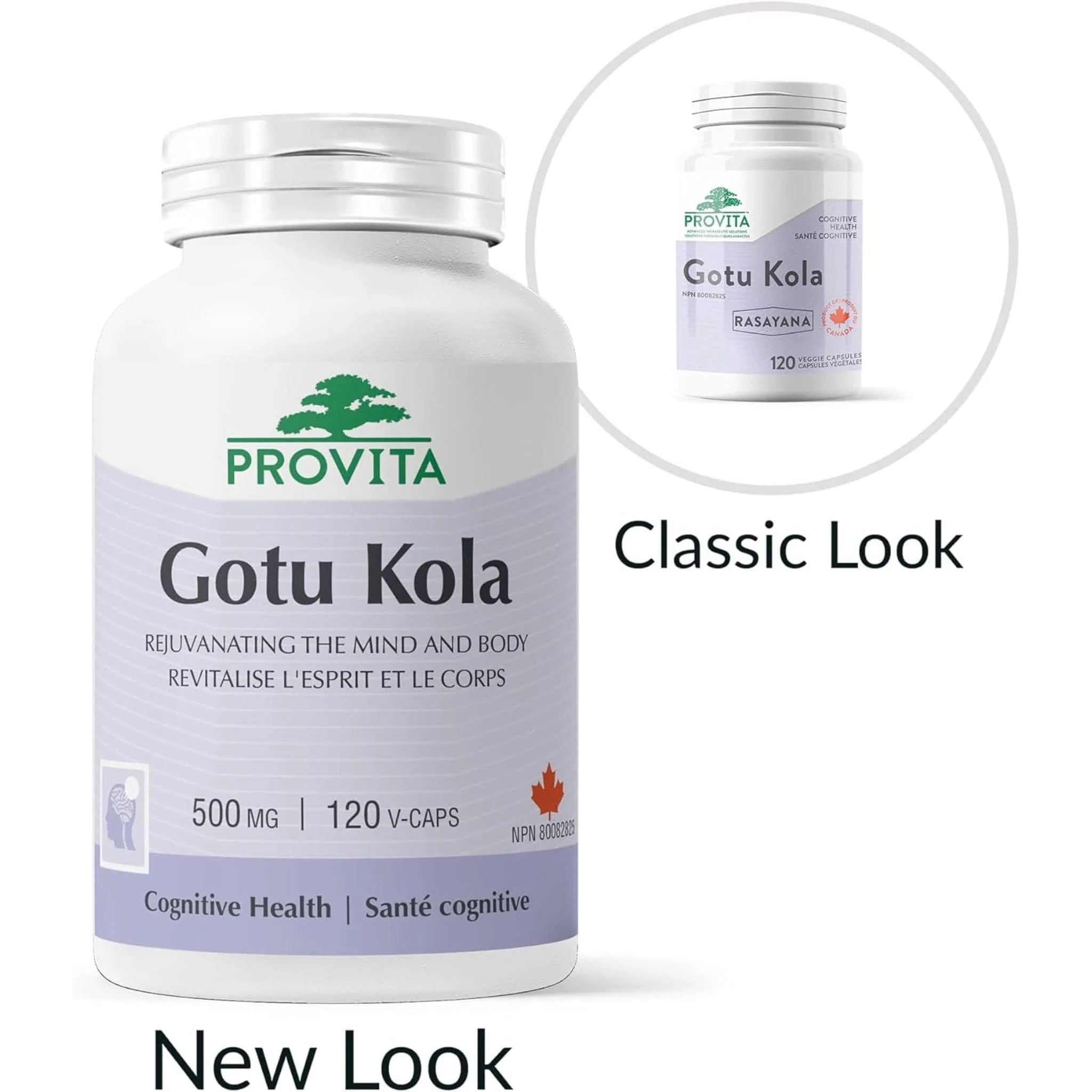Provita Gotu Kola 500mg, Helps Stimulate Healing, 120 Capsules - Image 5