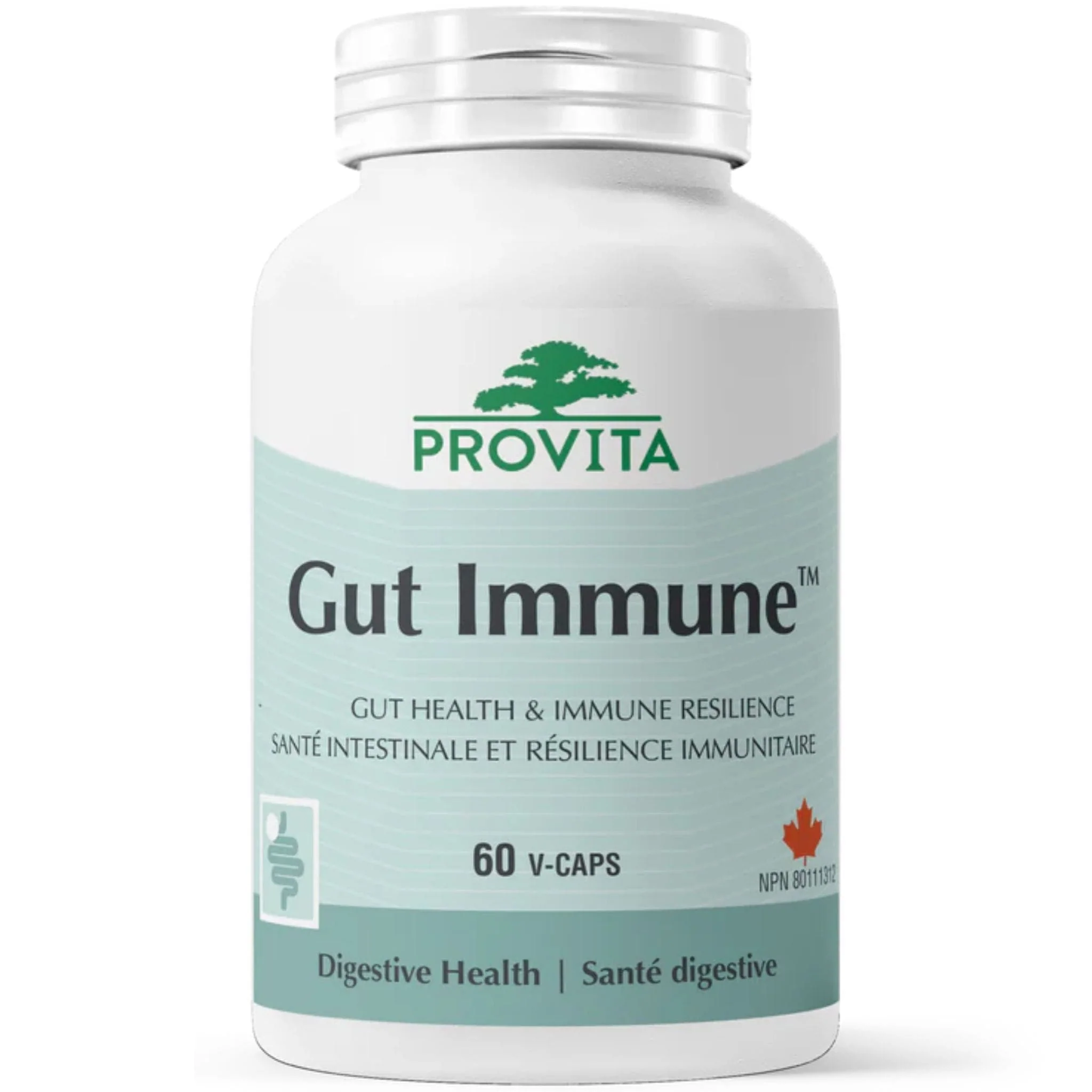 Provita Gut Immune, Supports Gut Health and Immune Function, 60 Vegetable Capsules