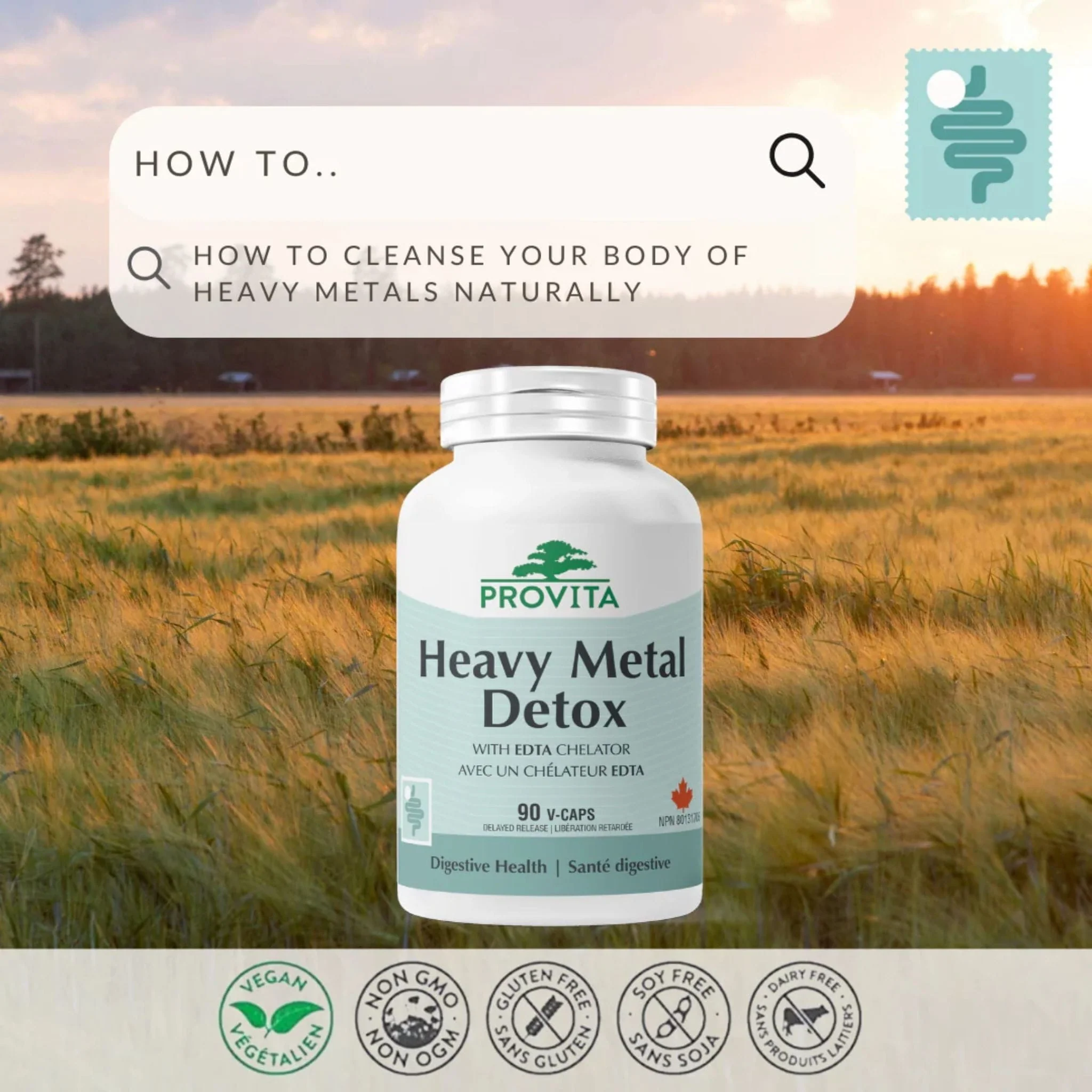 Provita Heavy Metal Detox, Supports Cellular Health and Natural Heavy Metal Cleansing, 90 Delayed Release Vegetable Capsules - Image 5