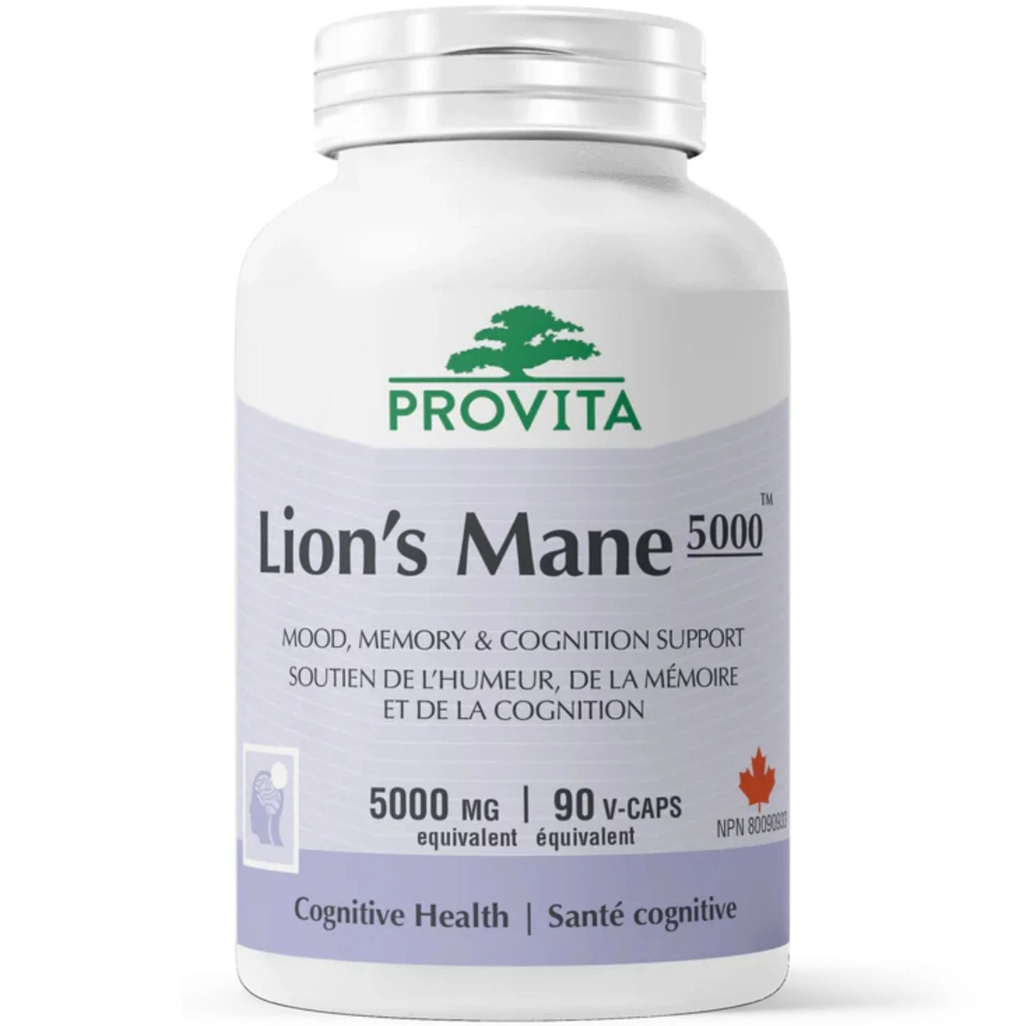 Provita Lion's Mane 5000, 90 Capsules - Image 2