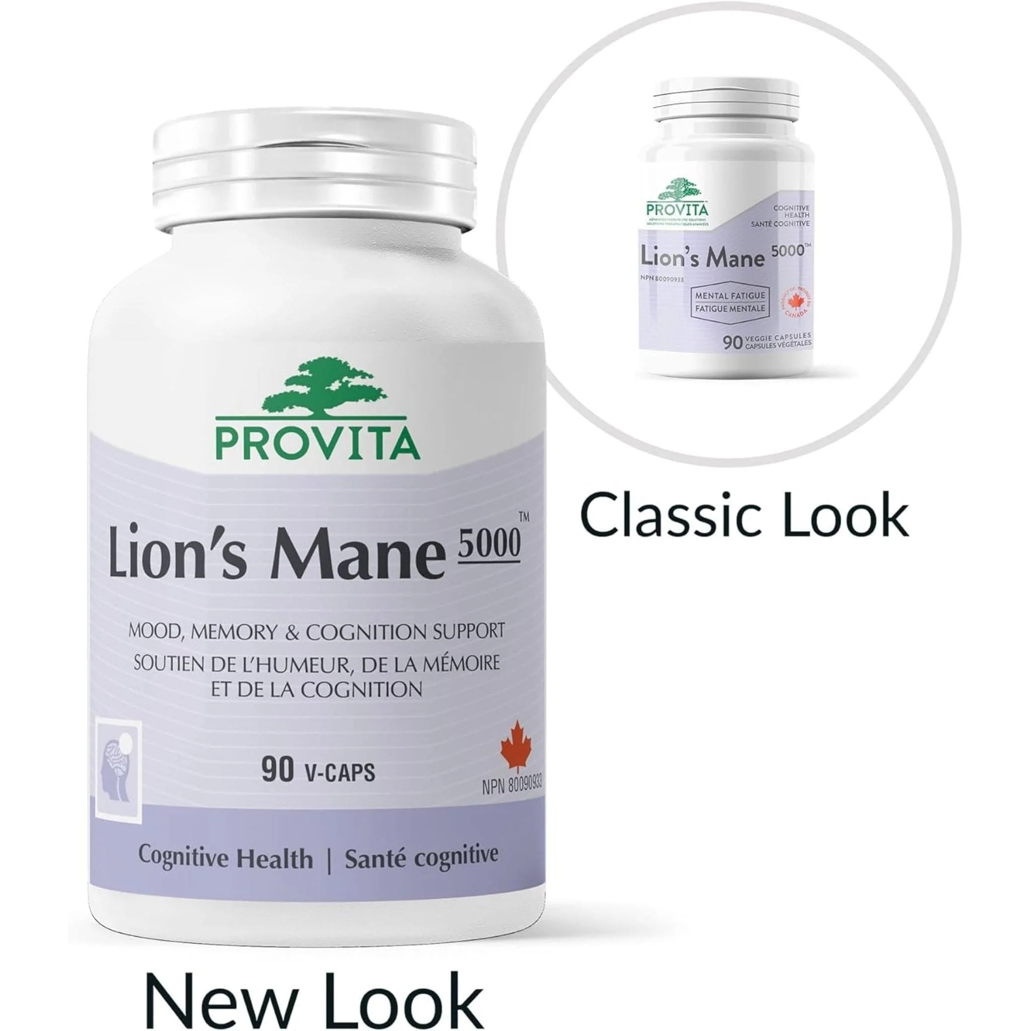 Provita Lion's Mane 5000, 90 Capsules - Image 3