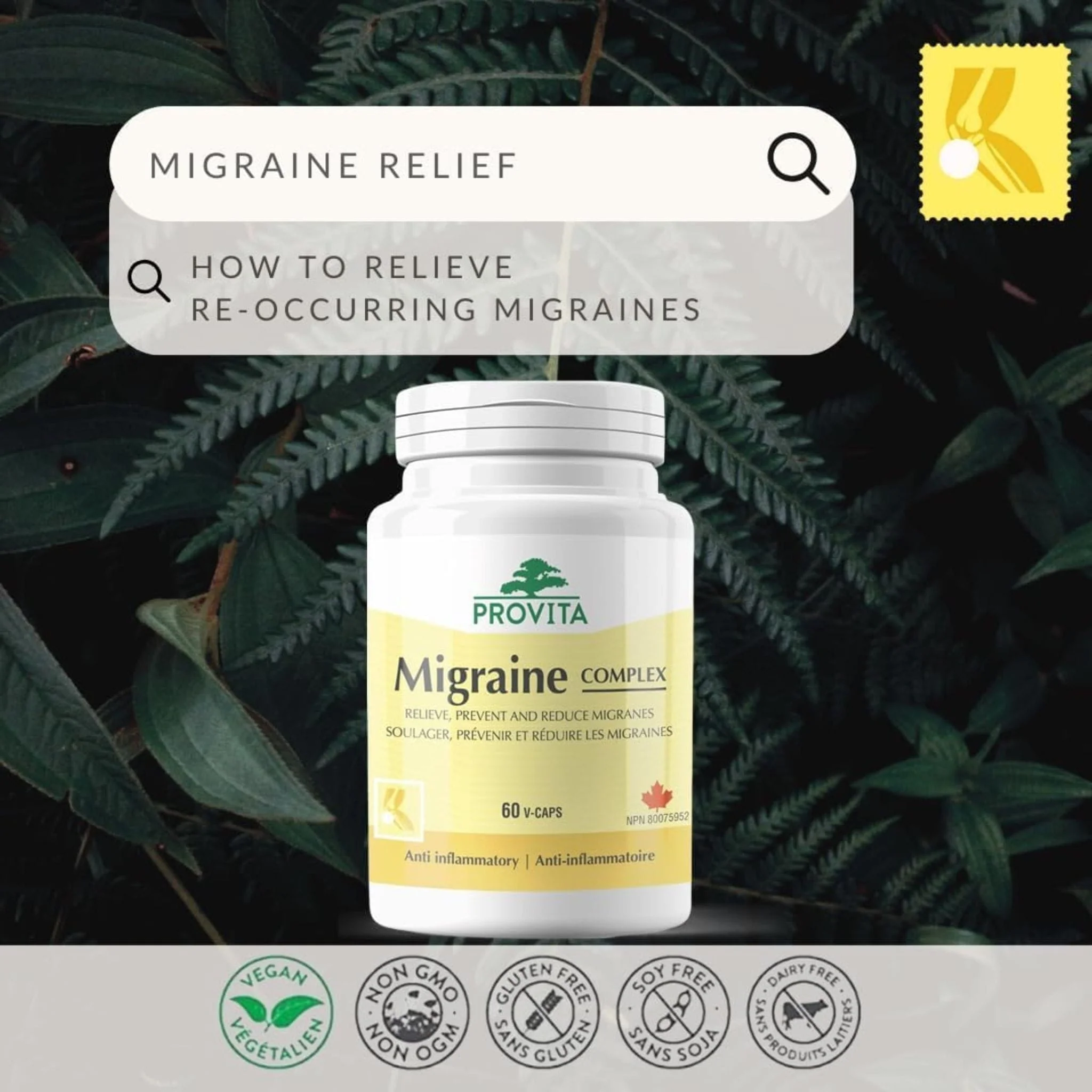 Provita Migraine, 60 Caps - Image 5