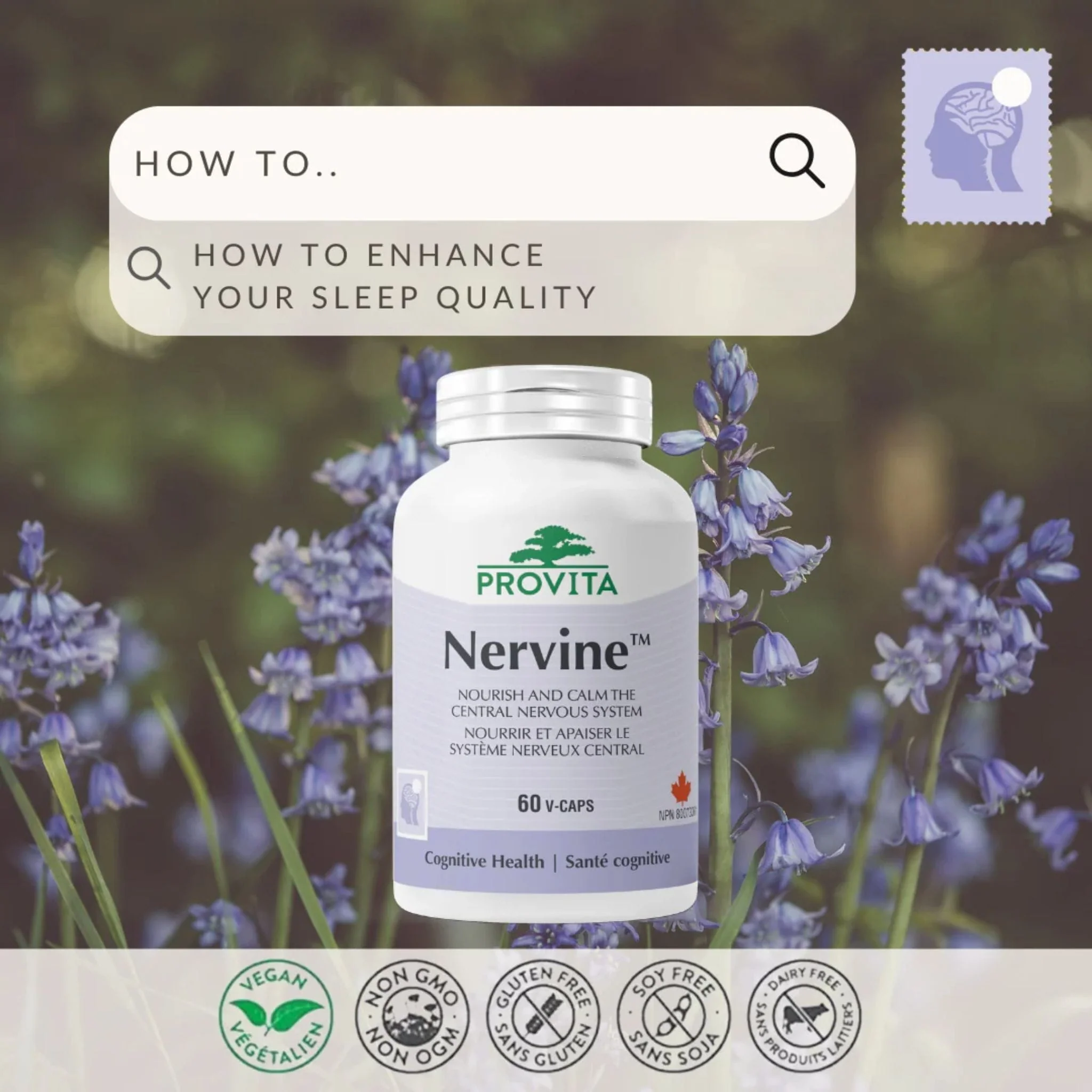 Provita Nervine, 60 Caps - Image 5