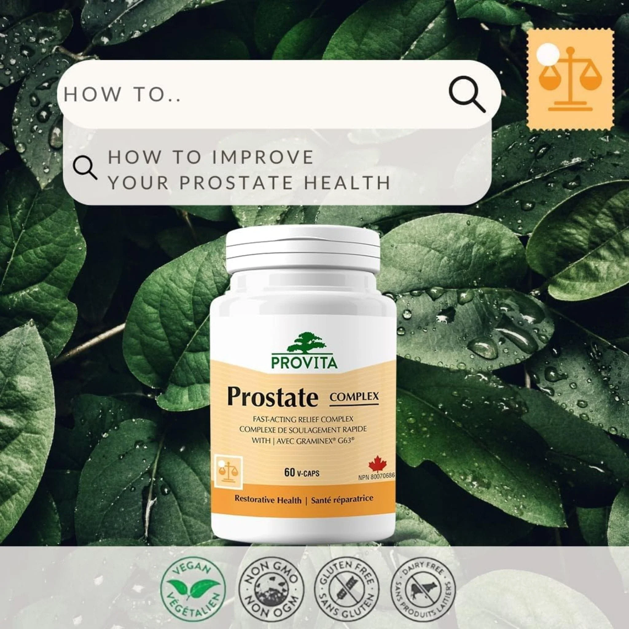Provita Prostate Complex, 60 Vegetable Capsules - Image 5