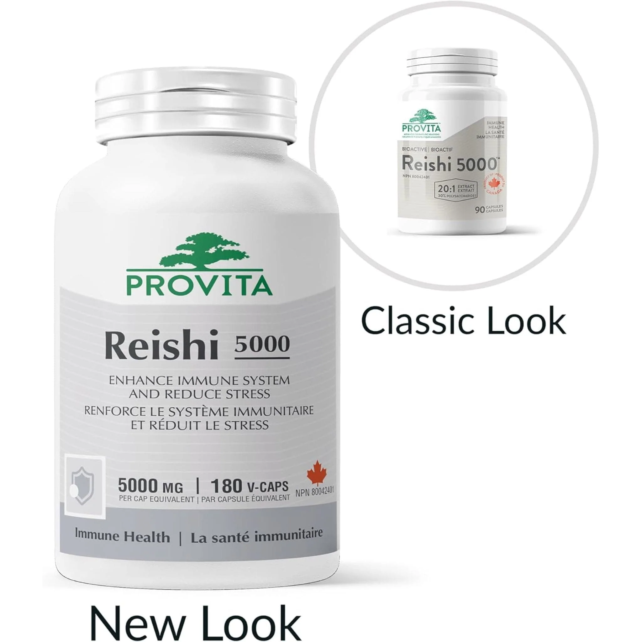 Provita Reishi 5000, 180 Capsules - Image 4