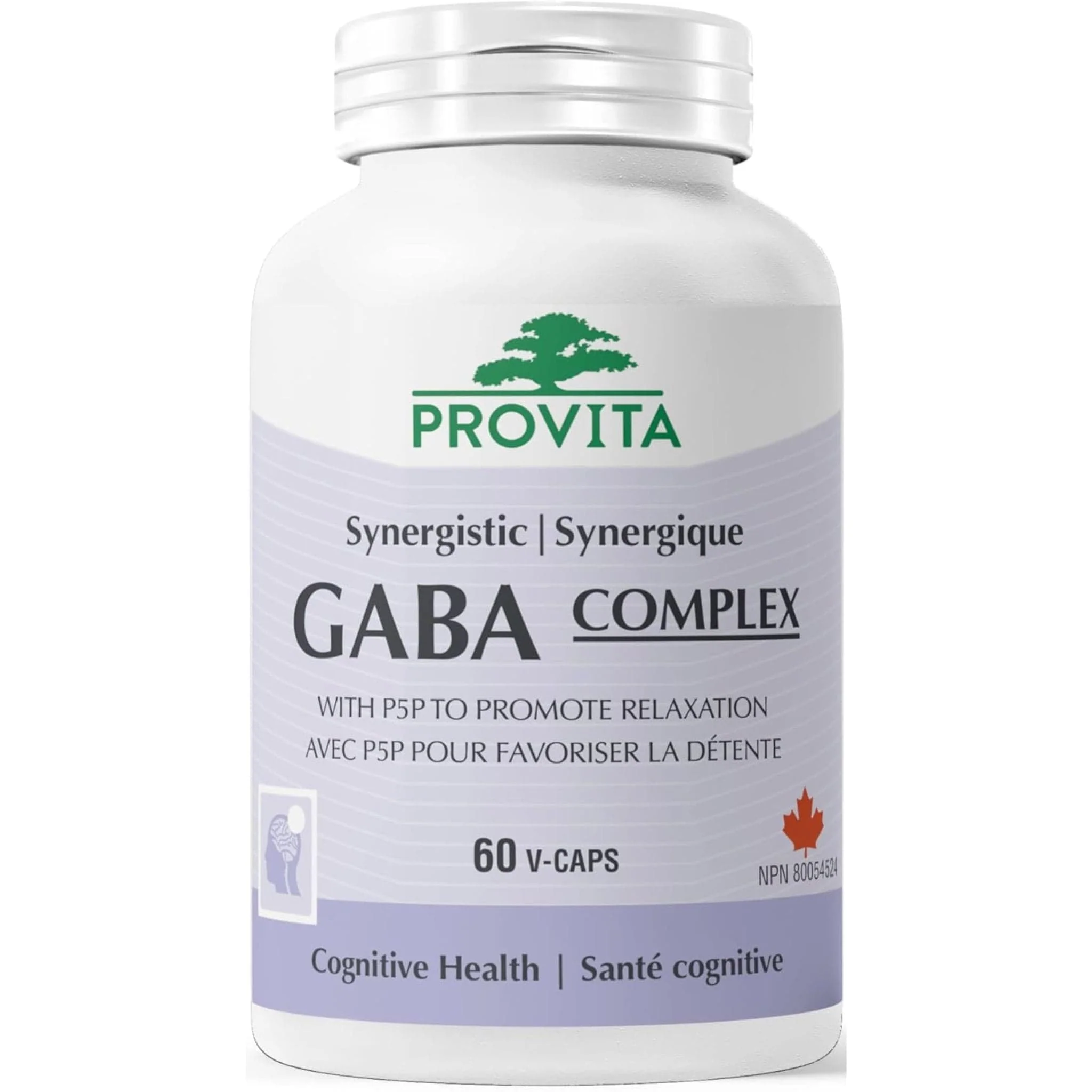 Provita Synergistic GABA Pro 500mg with B6, 60 Capsules