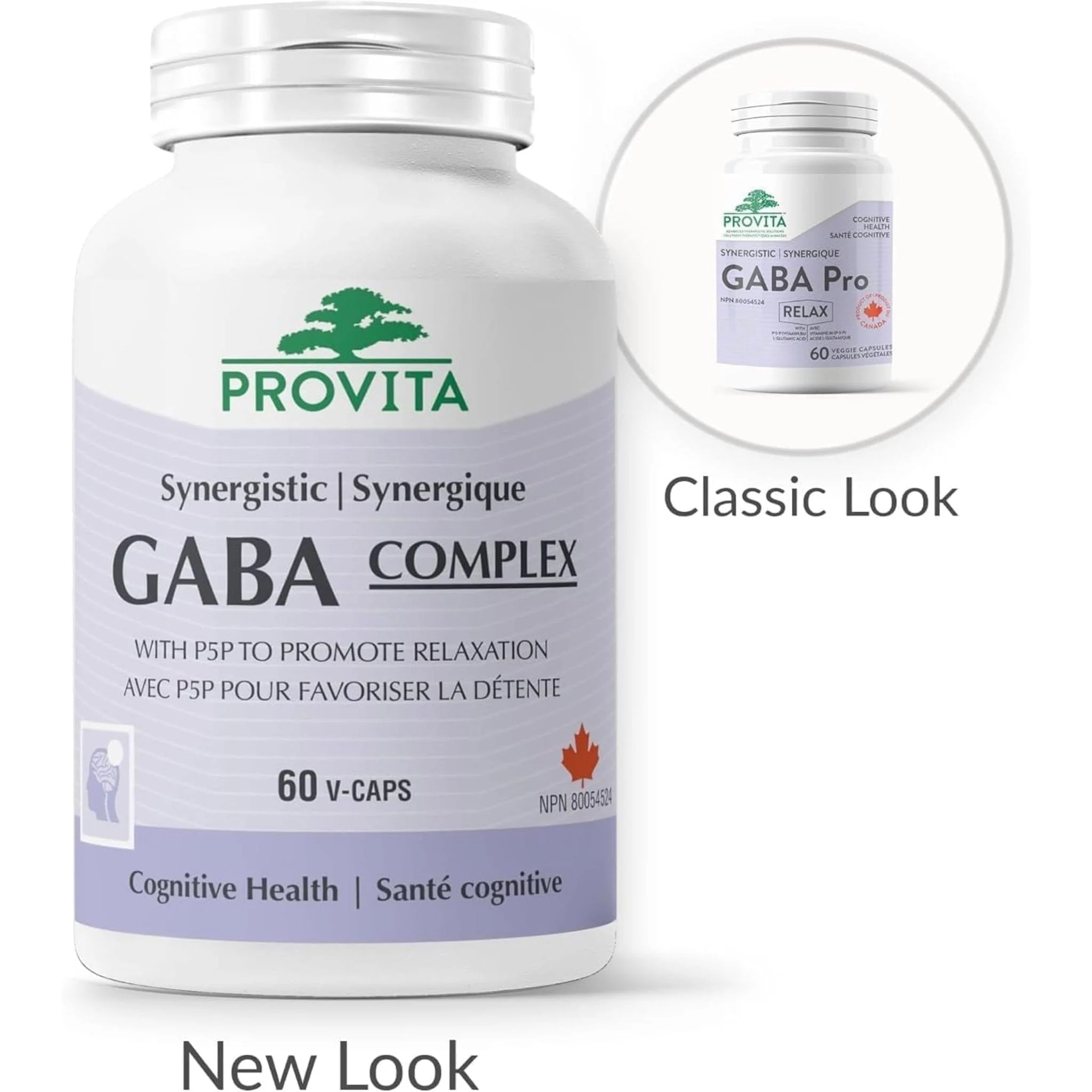 Provita Synergistic GABA Pro 500mg with B6, 60 Capsules - Image 4