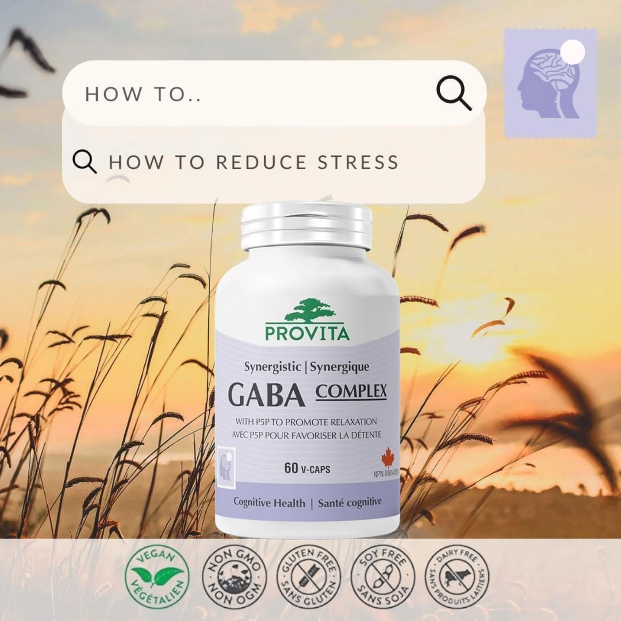 Provita Synergistic GABA Pro 500mg with B6, 60 Capsules - Image 5