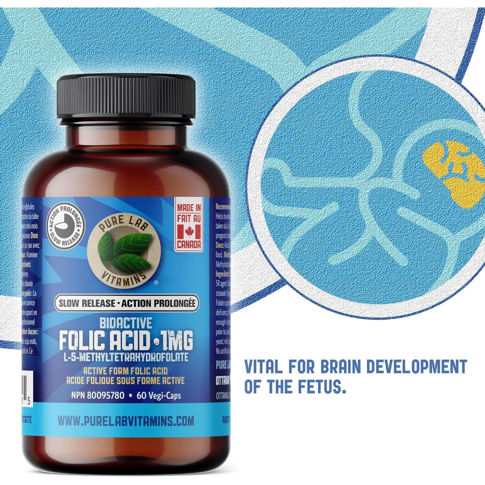 Pure Lab Vitamins Bioactive Folic Acid 1mg Slow Release, 60 Capsules - Image 5