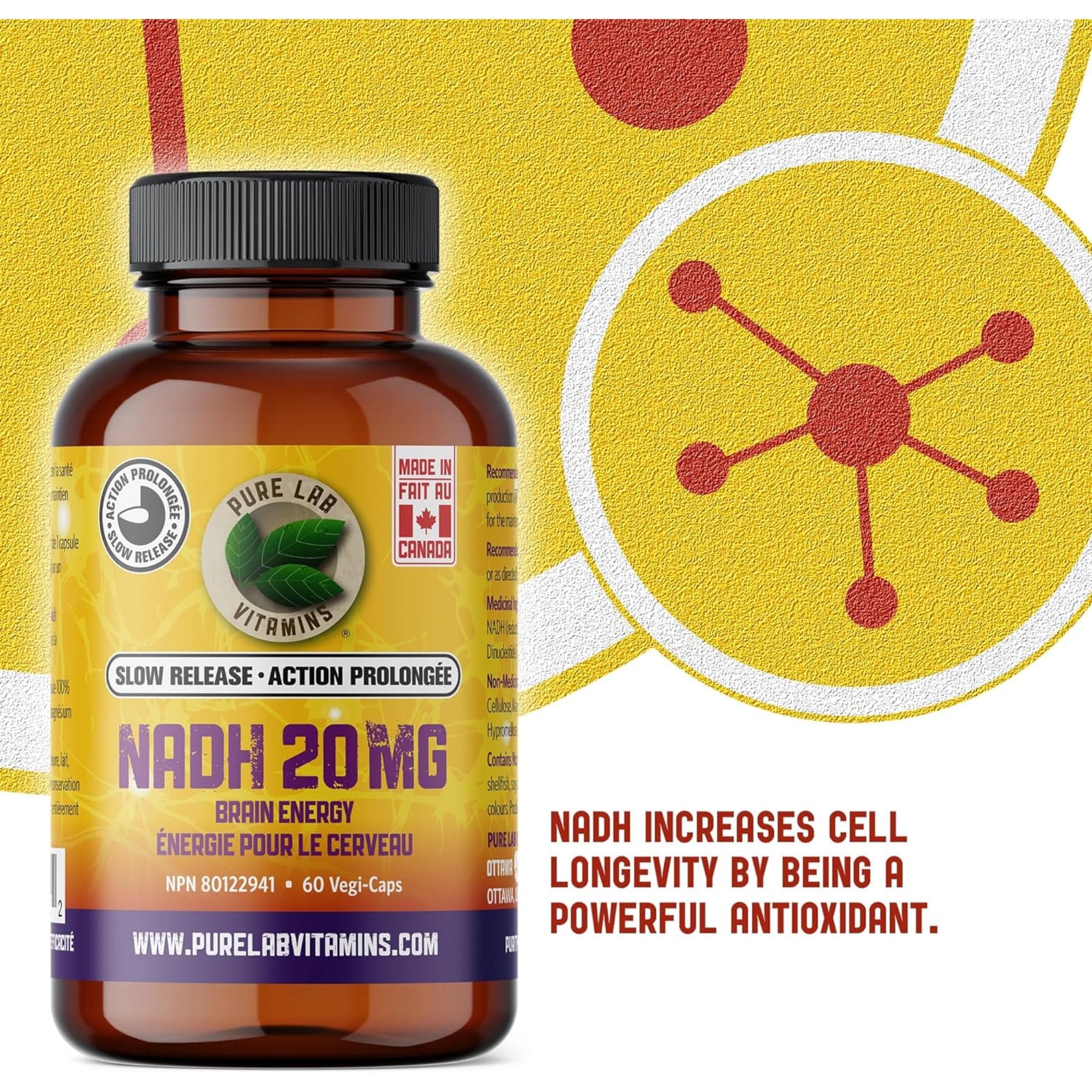 Pure Lab Vitamins NADH 20mg Slow Release Stabilized, 60 Vegi-Caps - Image 7