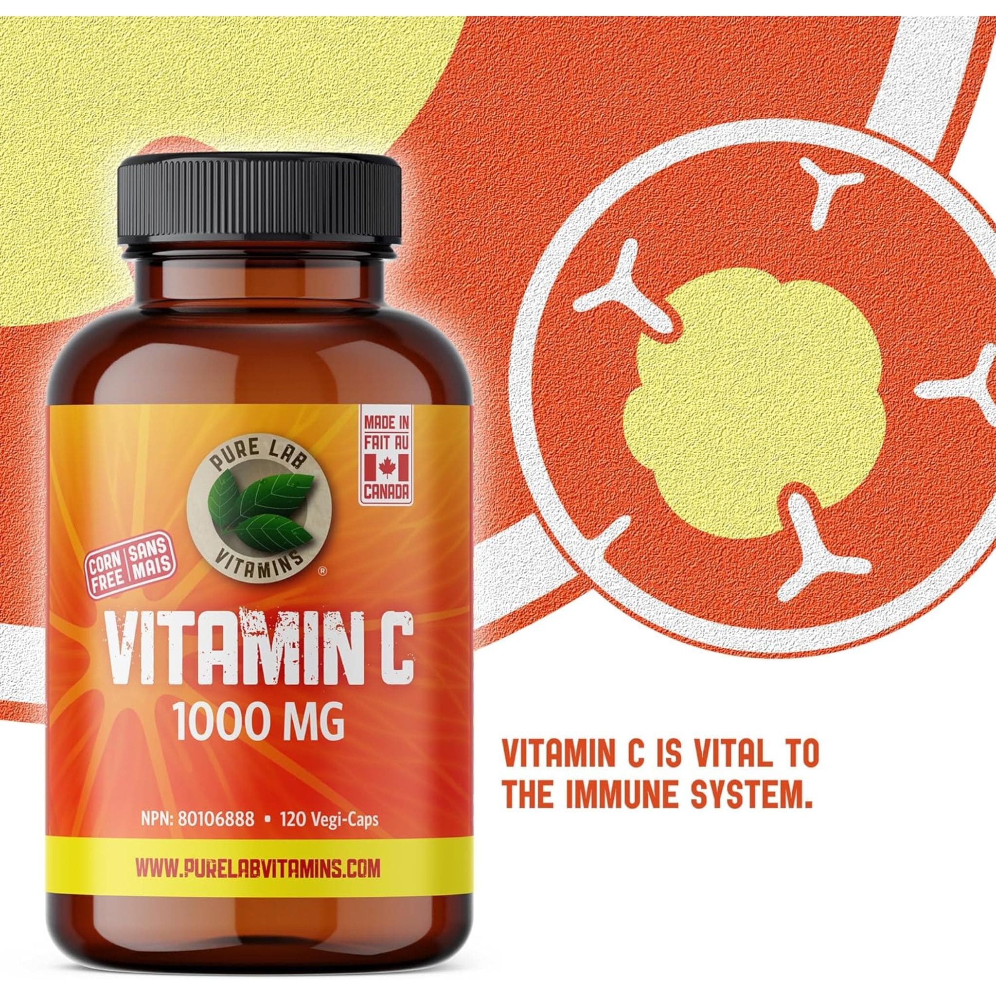 Pure Lab Vitamins Vitamin C 1000mg (Corn Free), 120 Capsules - Image 6