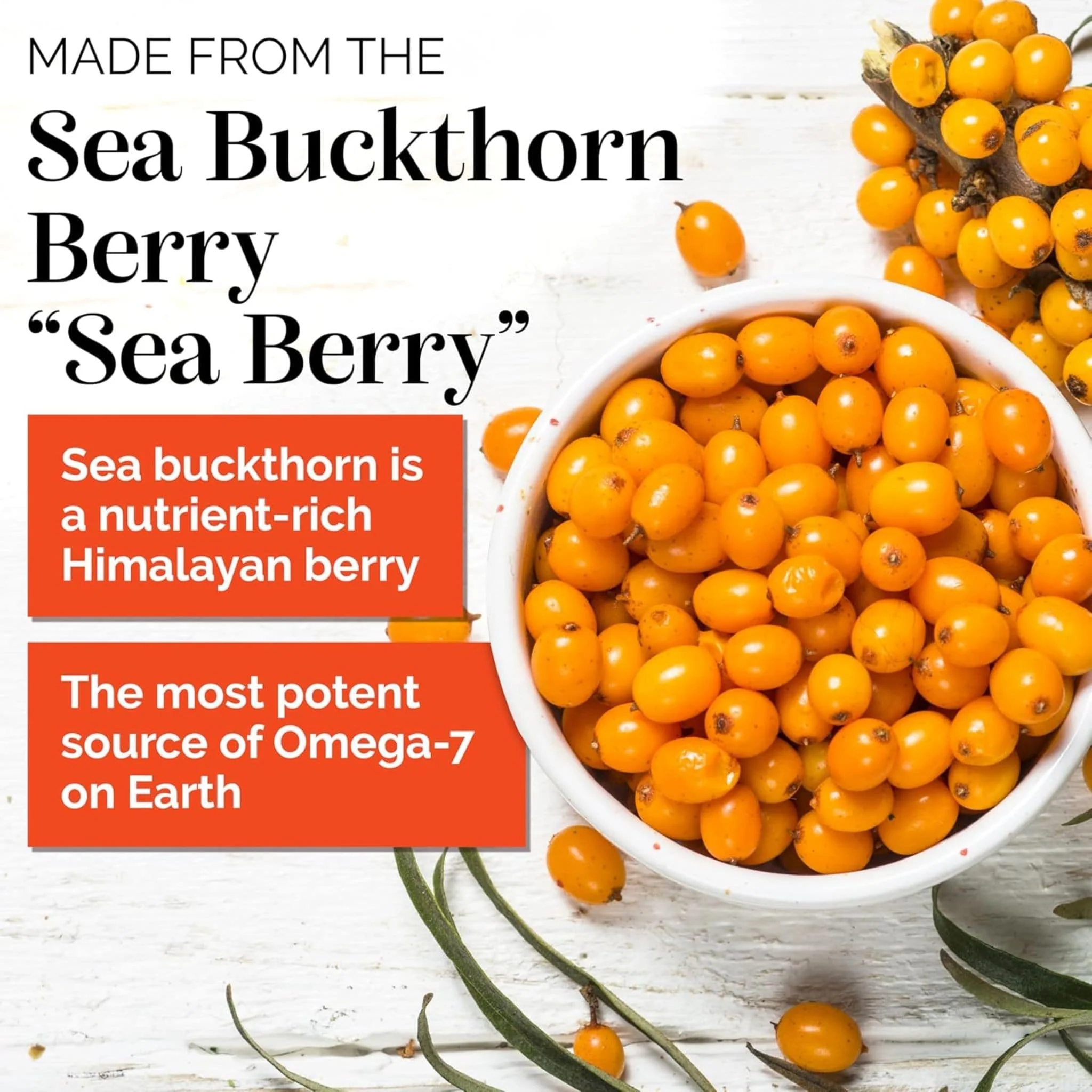 SIBU Omega-7 Sea Buckthorn Oil - Image 10