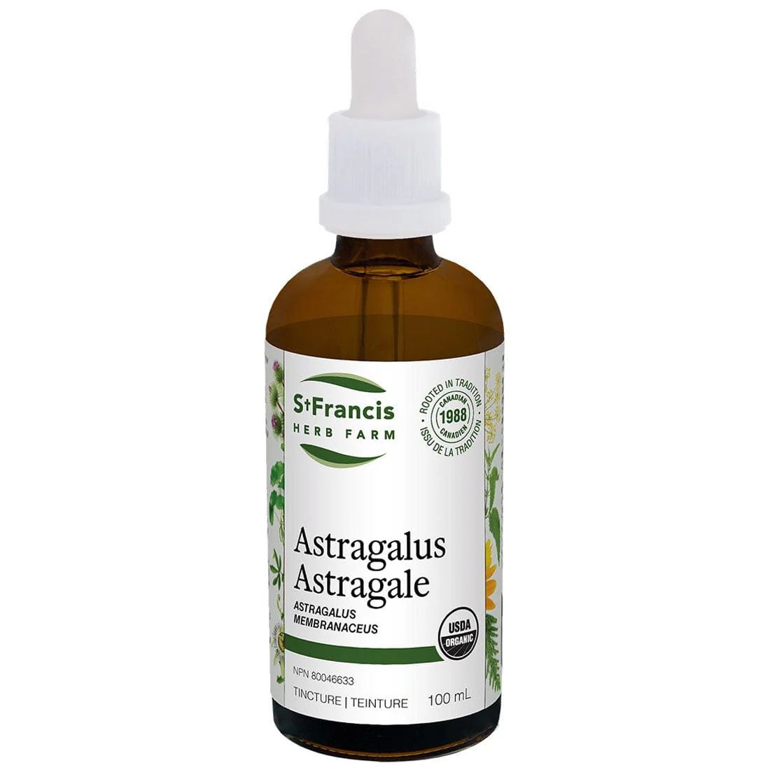 St. Francis Astragalus Liquid, Supports Healthy Immune System - Image 3