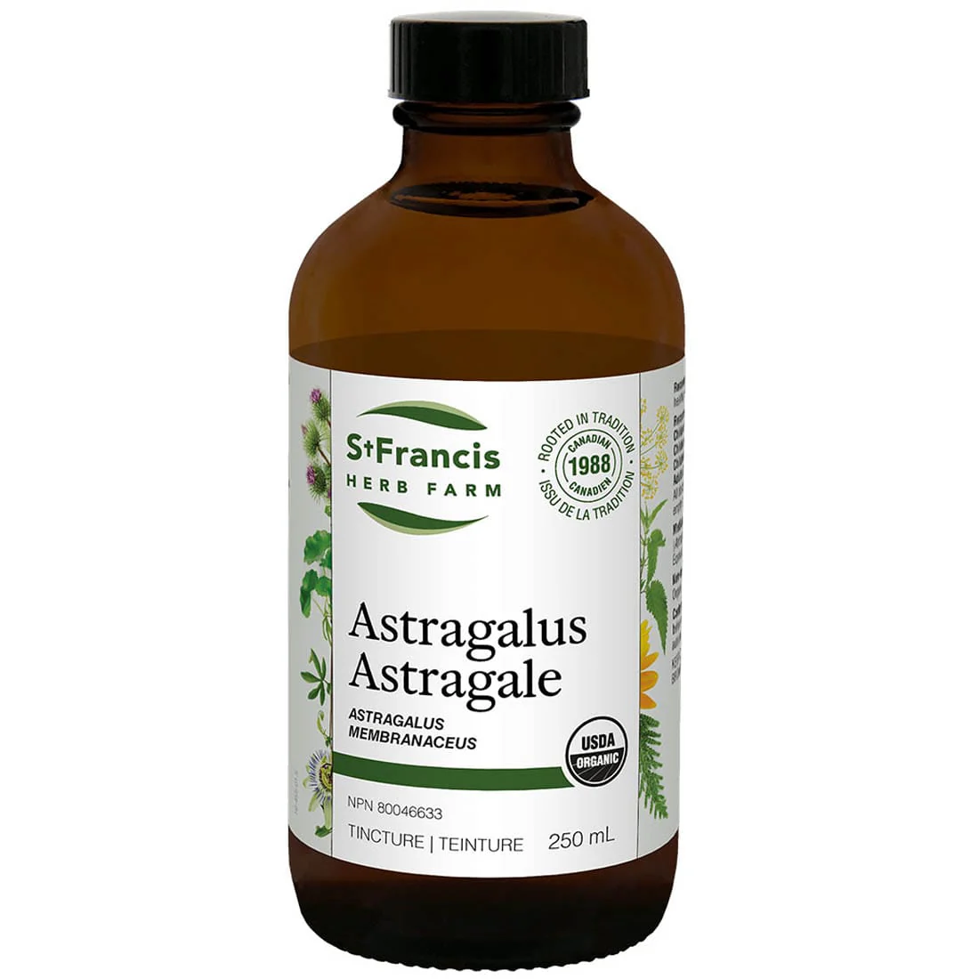 St. Francis Astragalus Liquid, Supports Healthy Immune System - Image 4