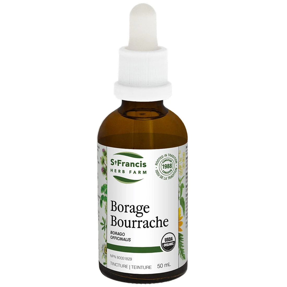 St. Francis Borage - Image 2