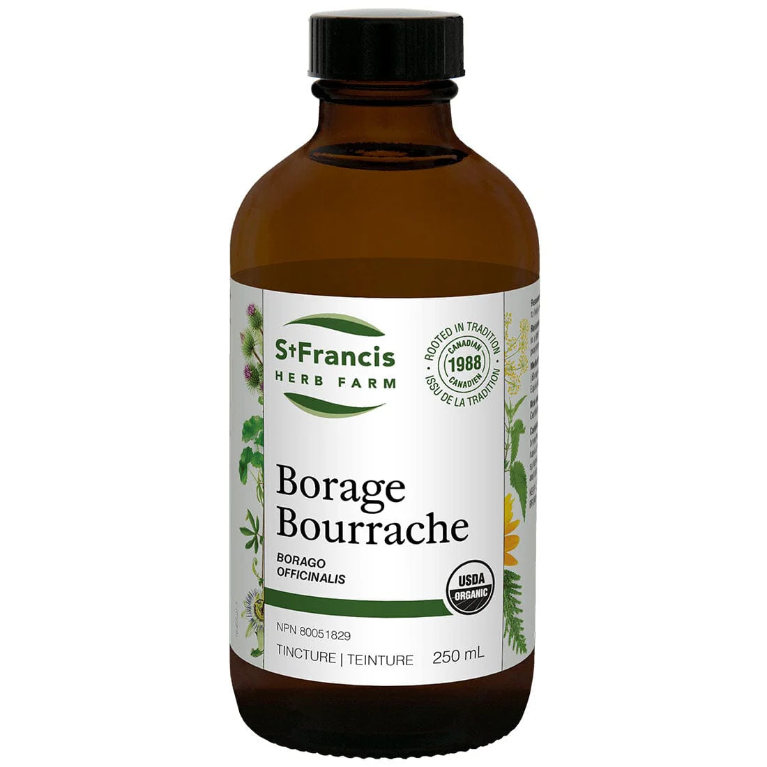 St. Francis Borage - Image 4