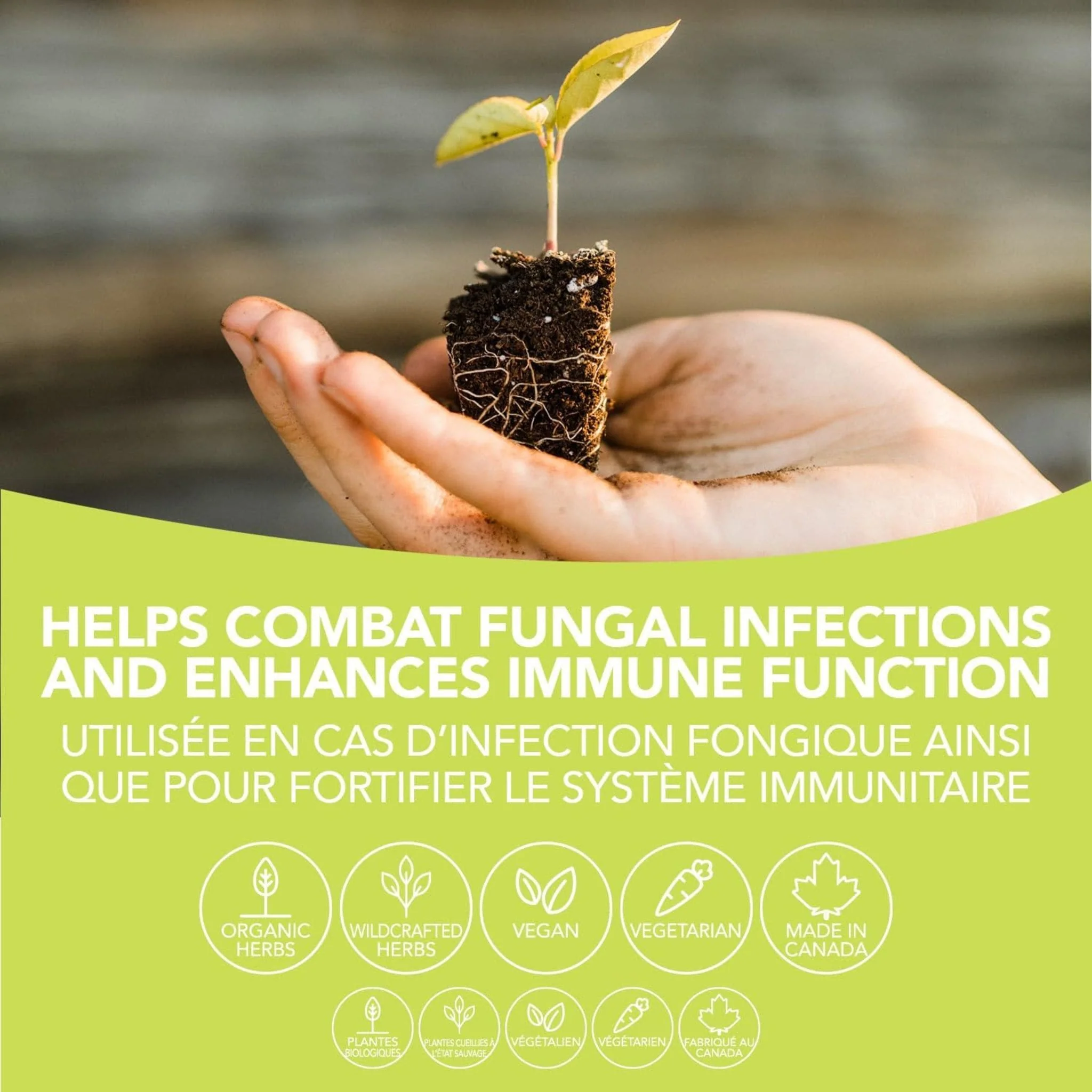 St.Francis Fungafect, Treats and Prevents Fungal Infections, 50ml - Image 5