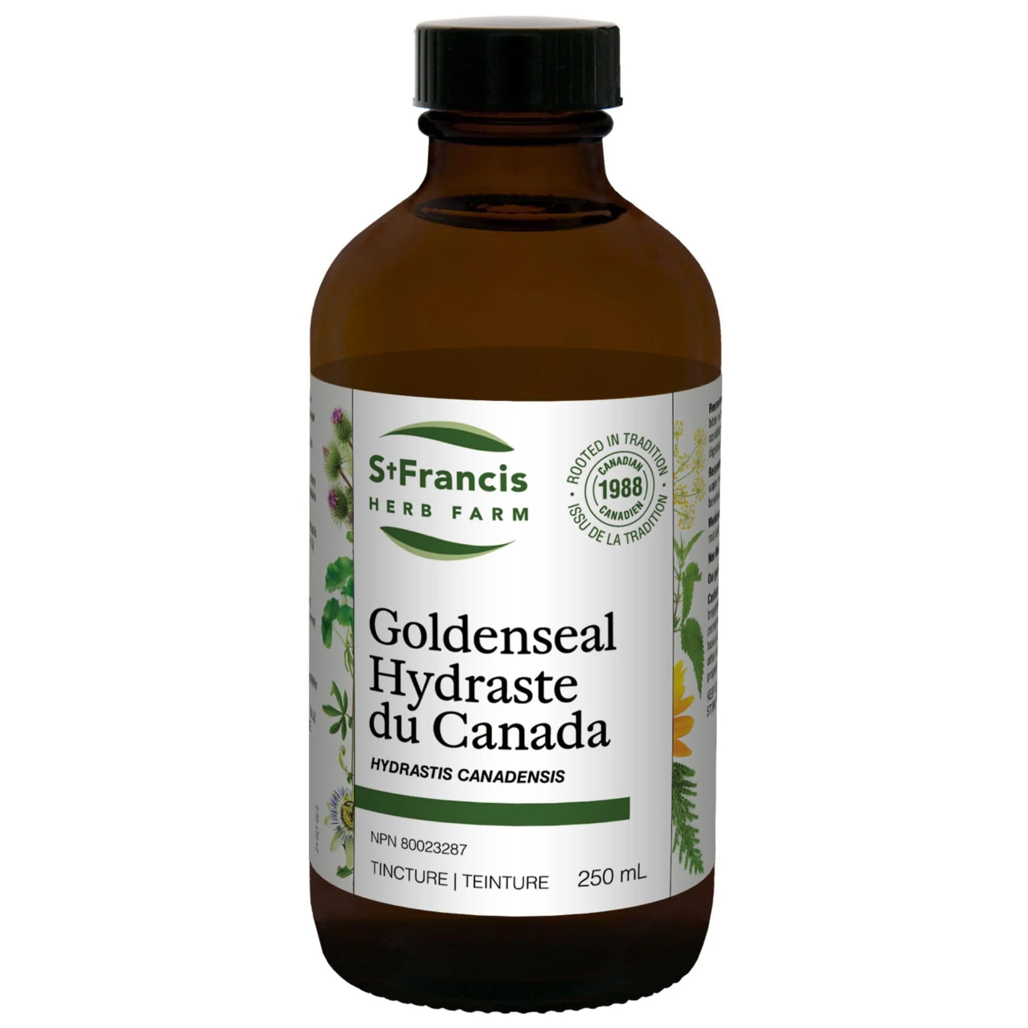St. Francis Goldenseal - Image 3