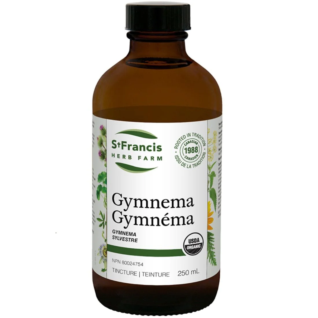 St. Francis Gymnema (Leaf) - Image 4