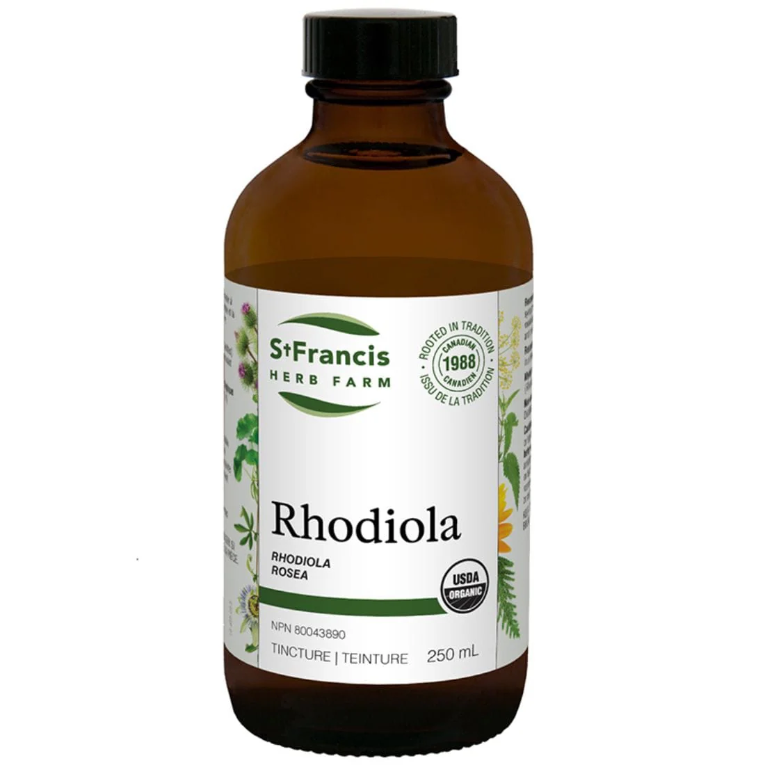 St. Francis Rhodiola Liquid Tincture - Image 4