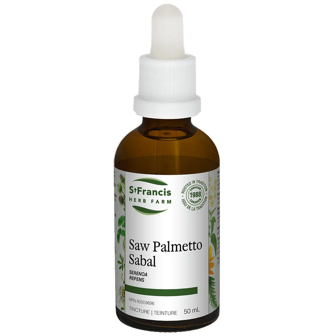 St. Francis Saw Palmetto - Image 2