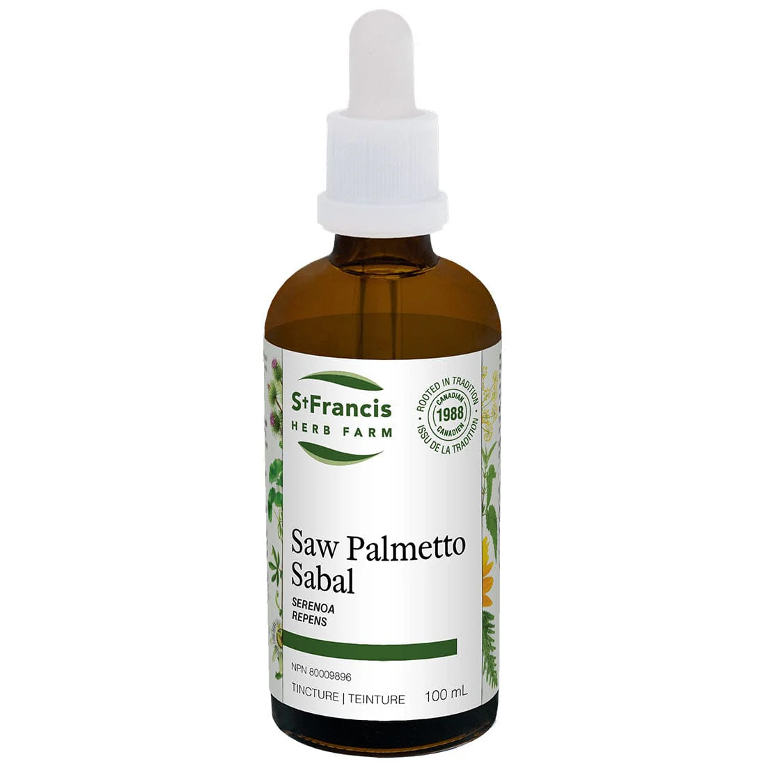 St. Francis Saw Palmetto - Image 3