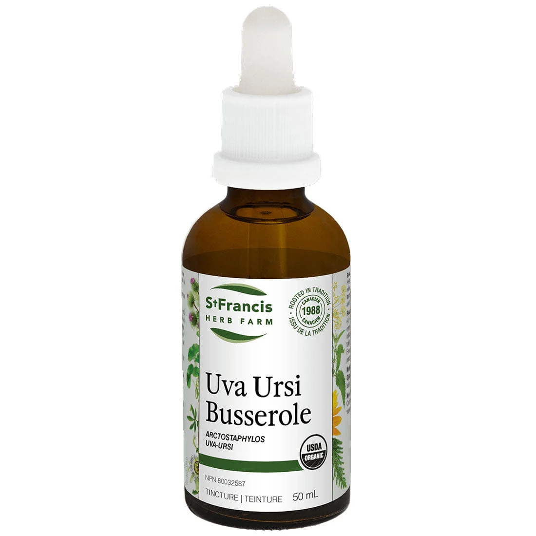 St. Francis Uva Ursi Liquid Tincture, For Acute and Chronic Recurring Urinary Tract Infections - Image 2