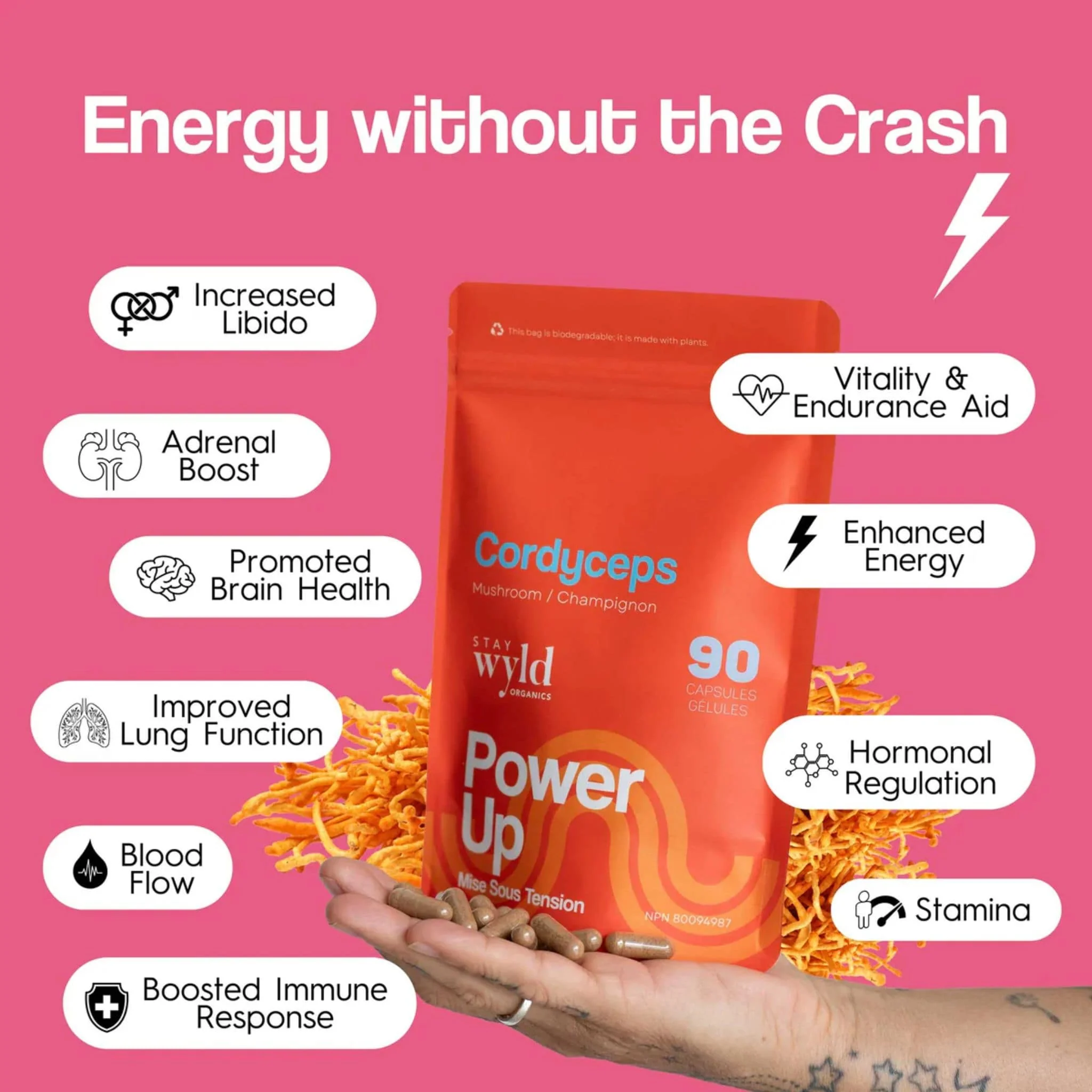 Stay Wyld Organics Cordyceps Power Up (Energy, Performance & Libido), 90 Capsules - Image 2