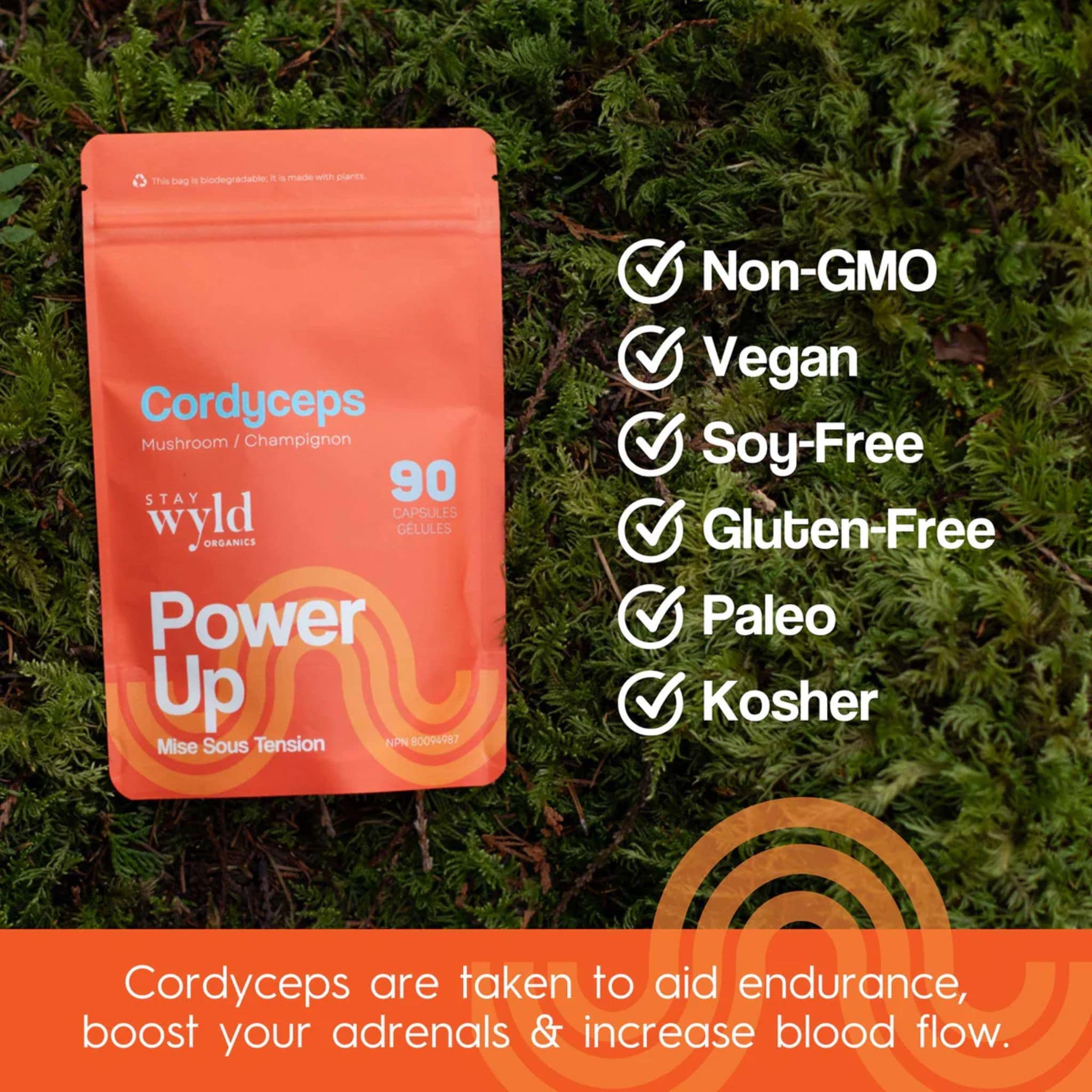 Stay Wyld Organics Cordyceps Power Up (Energy, Performance & Libido), 90 Capsules - Image 4