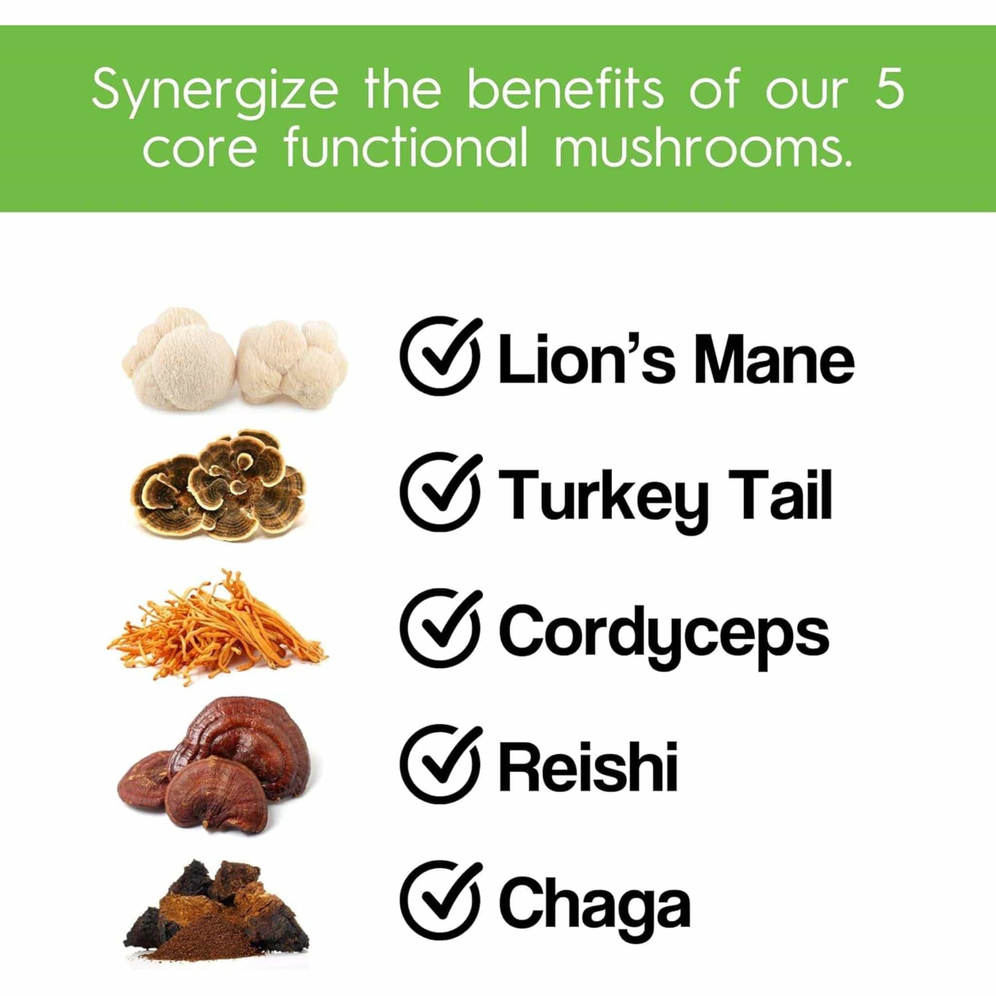 Stay Wyld Organics Daily Defend (Formerly Daily Immunity) Mushroom Blend, 90 Capsules - Image 3