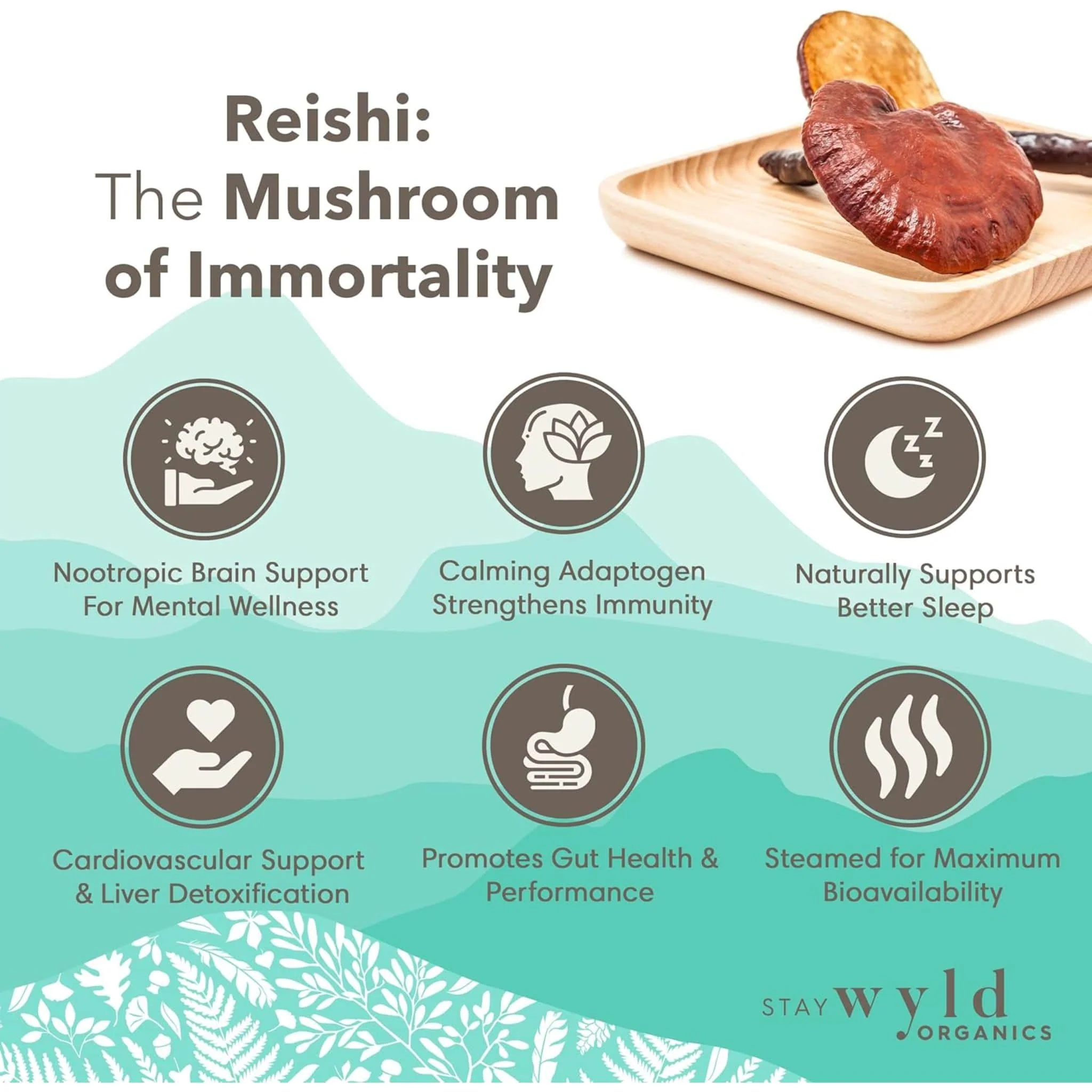 Stay Wyld Organics Reishi Mushroom Powder (Stress & Anxiety Support), 100g Powder CLEARANCE 50% Off Final Sale - Image 3