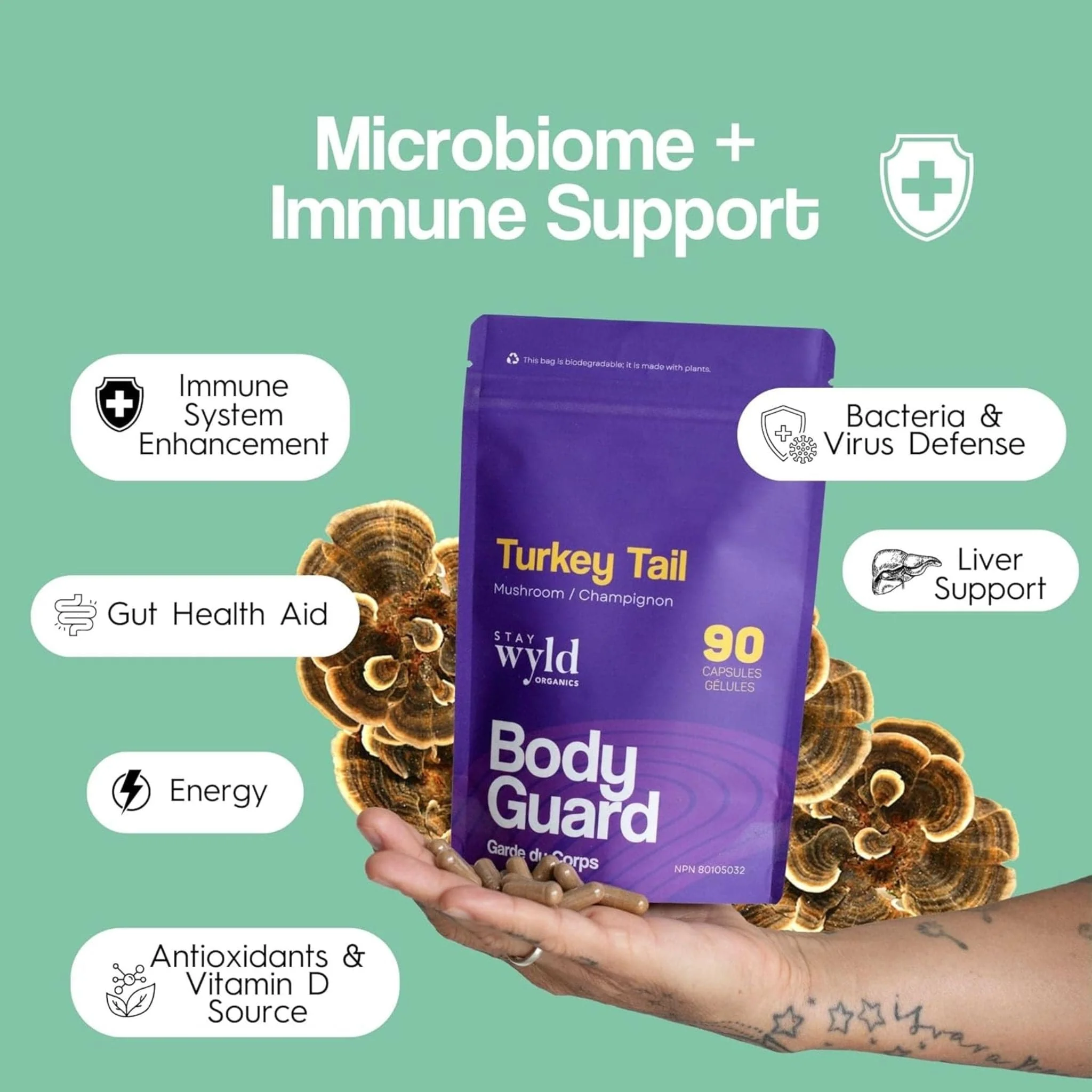 Stay Wyld Organics Turkey Tail (Immune System Support), 90 Capsules - Image 2