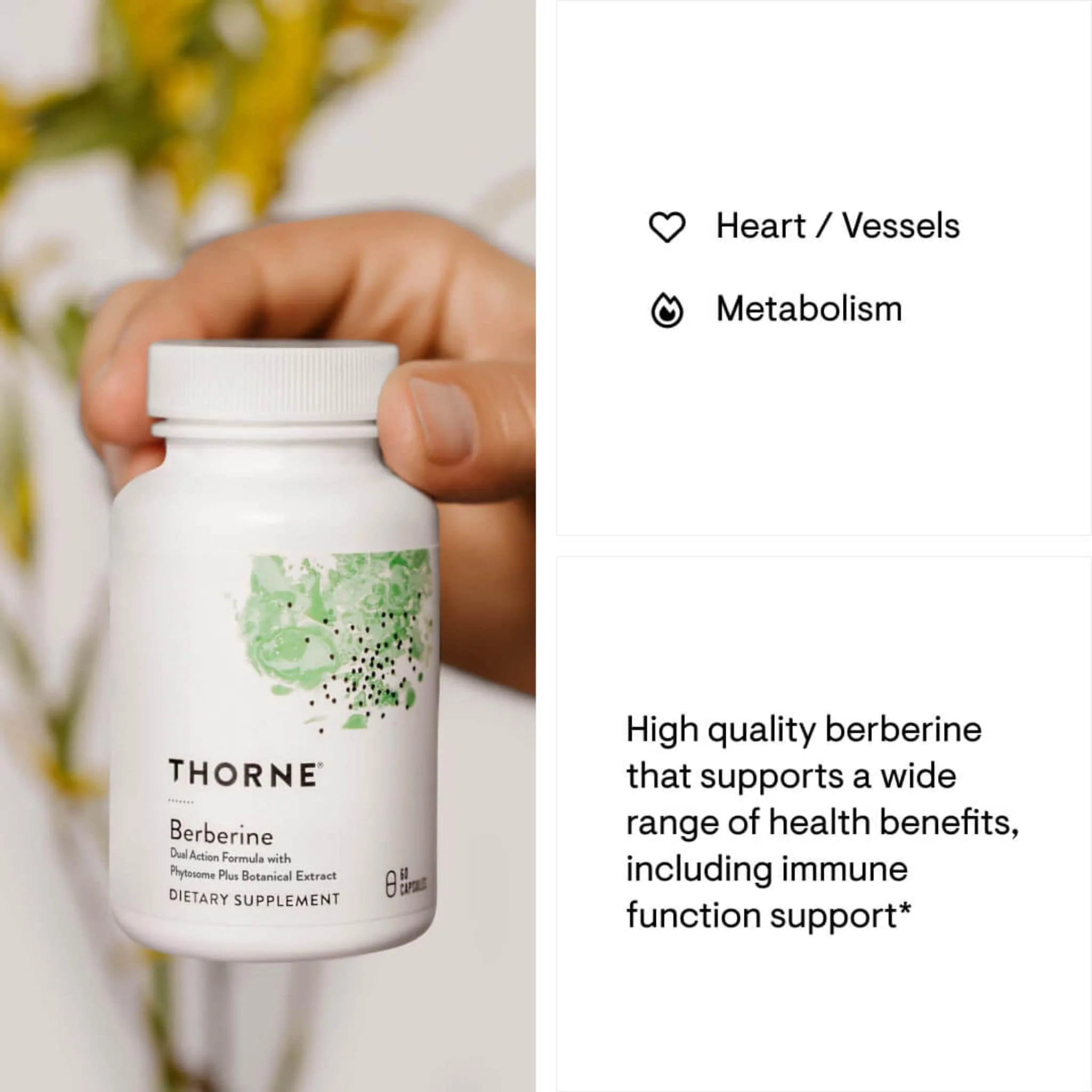 Thorne Berberine HP, 60 Capsules - Image 3
