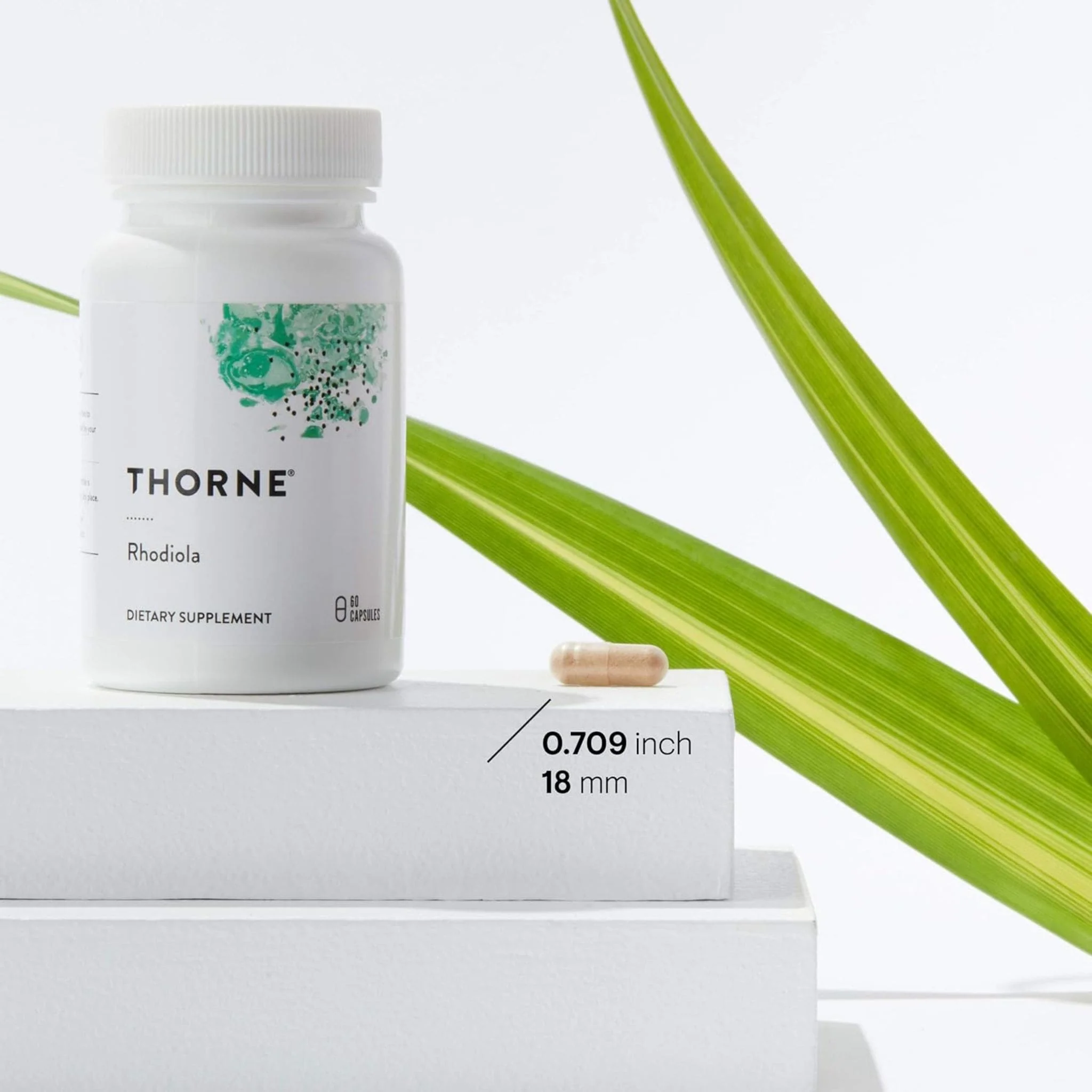 Thorne Rhodiola 100mg, 60 Capsules - Image 3