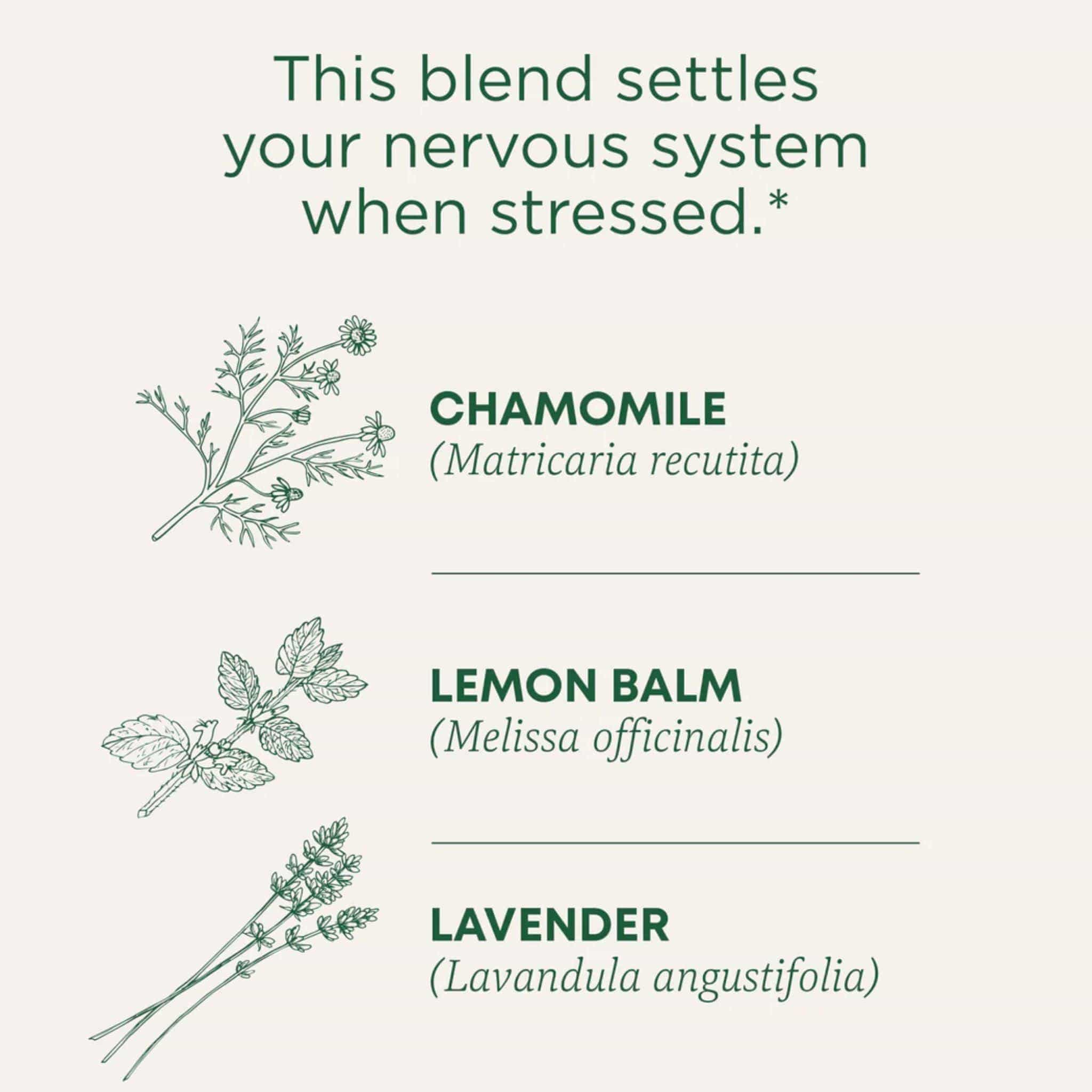 Traditional Medicinals Organic Chamomile with Lavender Tea, 16 Wrapped Tea Bags - Image 3