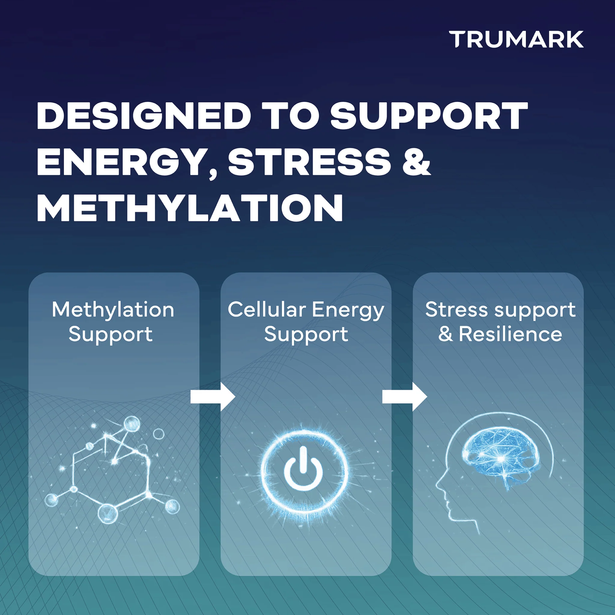 TRUMARK TRU-B Methylated B-Complex, With 5-MTHF Folate, Methyl B12, P5P B6 & R5P Riboflavin for Energy, Methylation and Stress Support, 90 Vegetable Capsules - Image 5