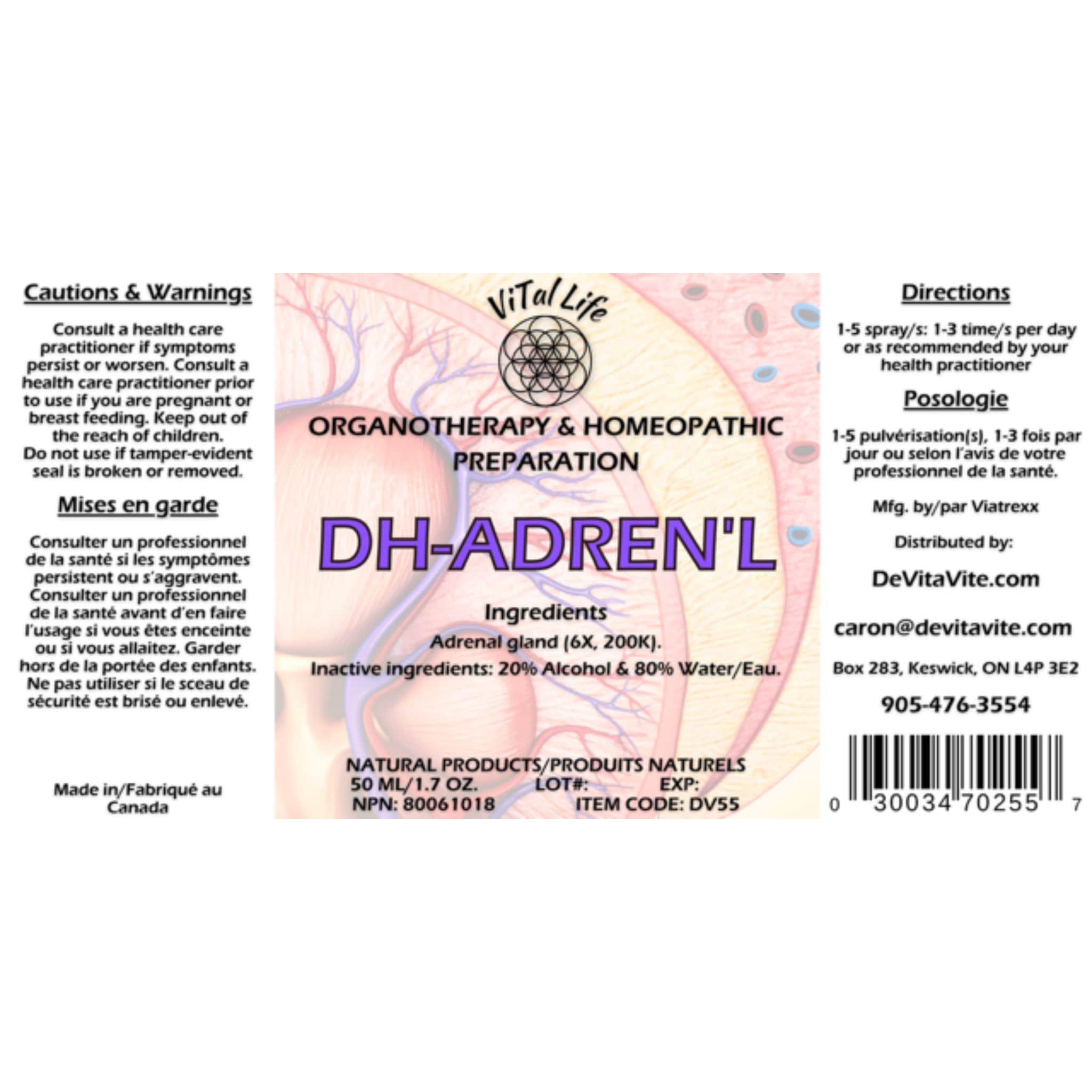 Vital Life DH-enal Liquid Spray, Homeopathic Adrenal Gland Support for Stress Response and Hormonal Balance, 50ml - Image 2